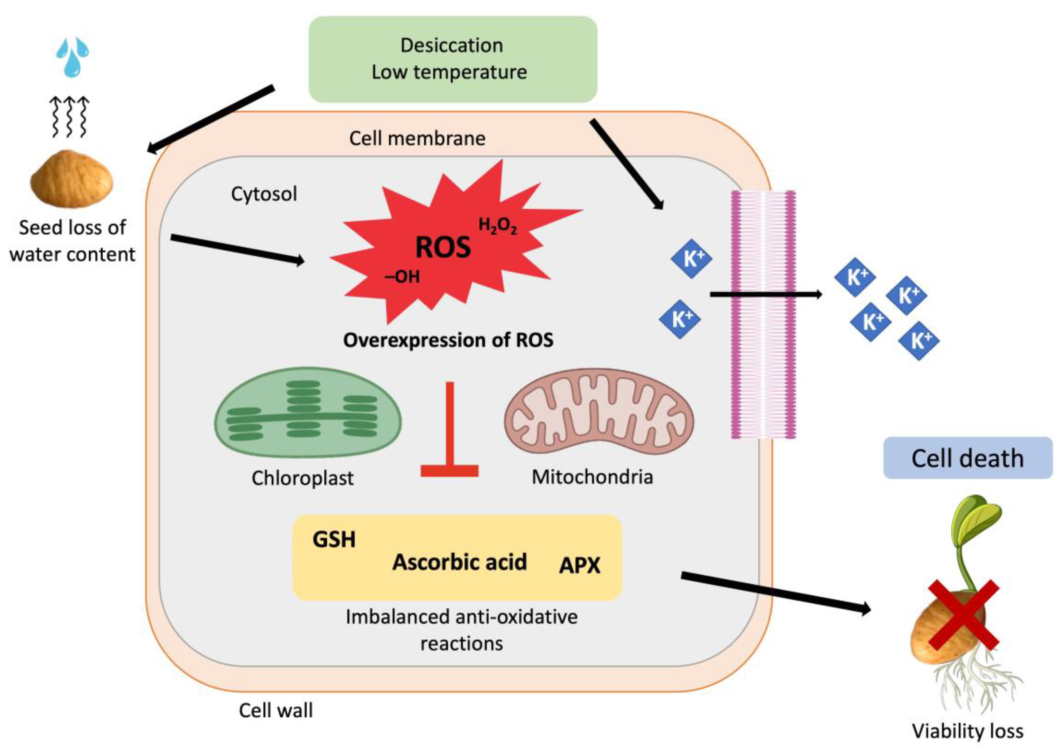 Agronomy 13 02099 g002