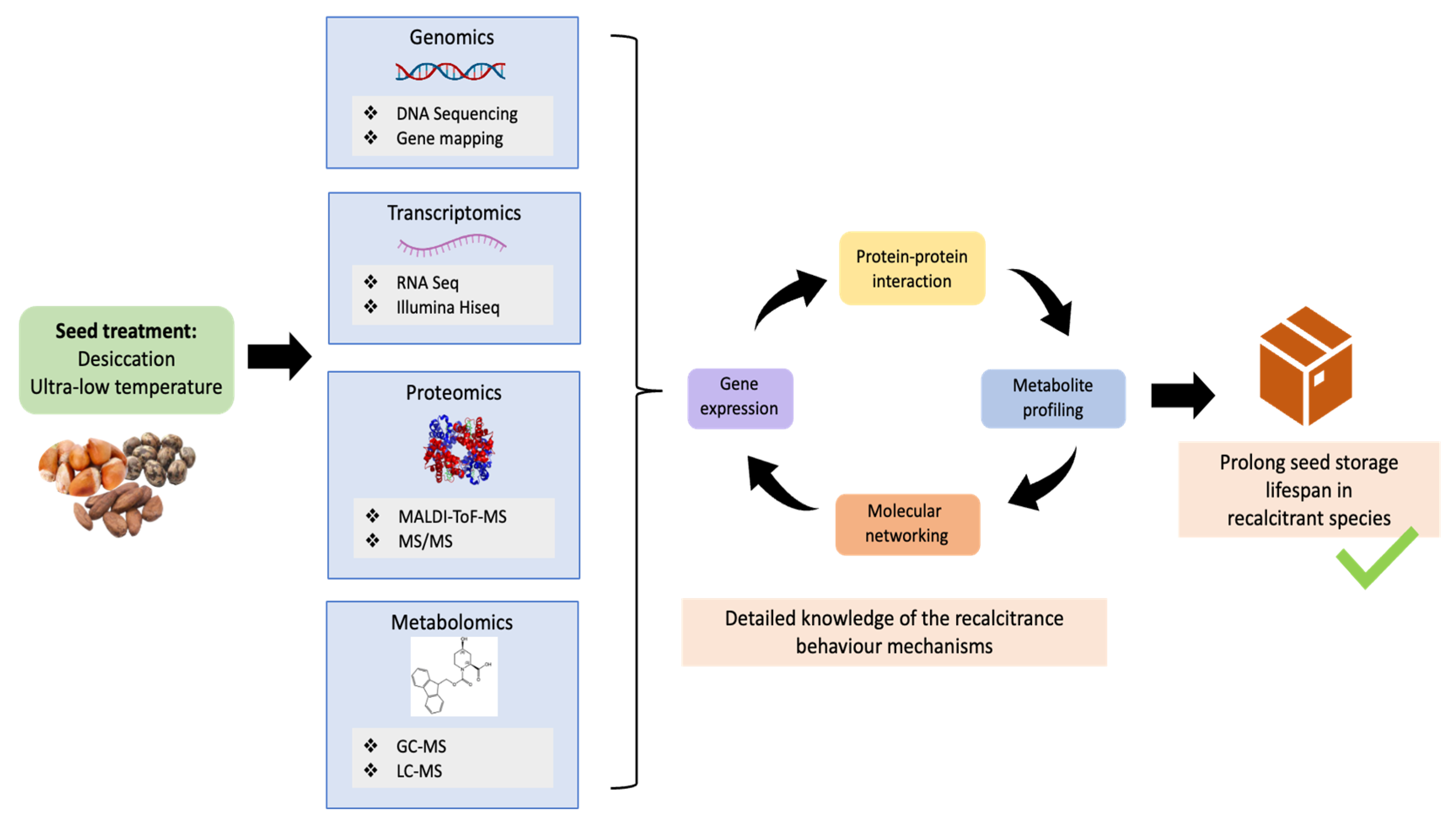 Agronomy 13 02099 g003