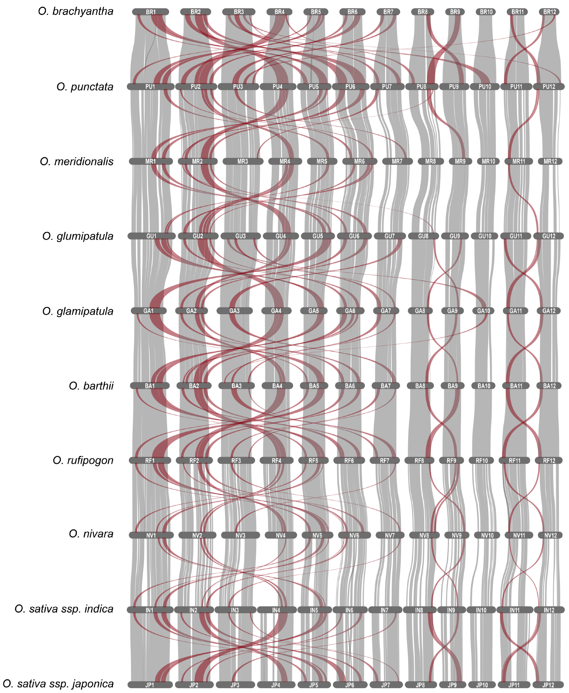 Agronomy 13 02100 g002
