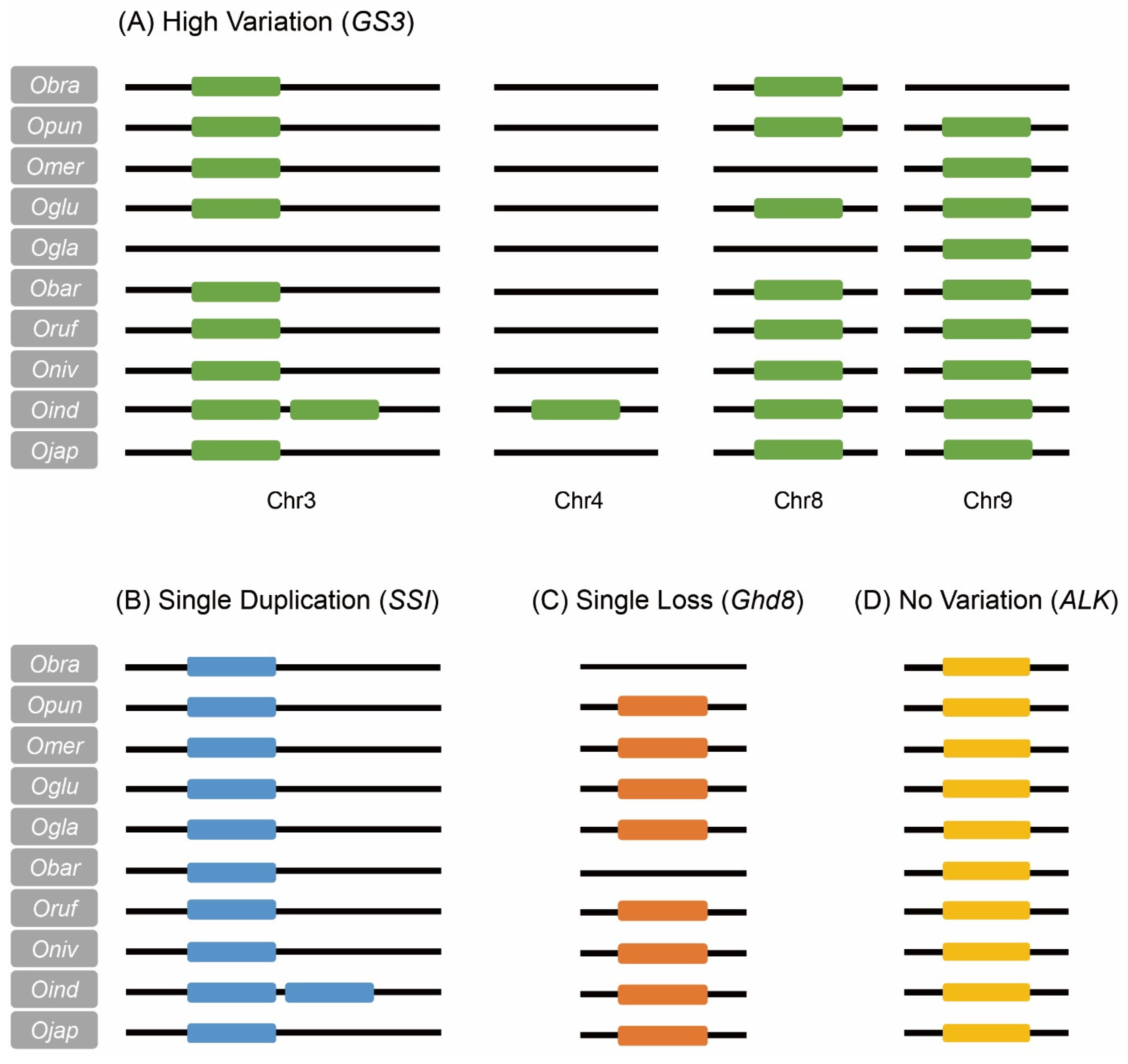 Agronomy 13 02100 g003