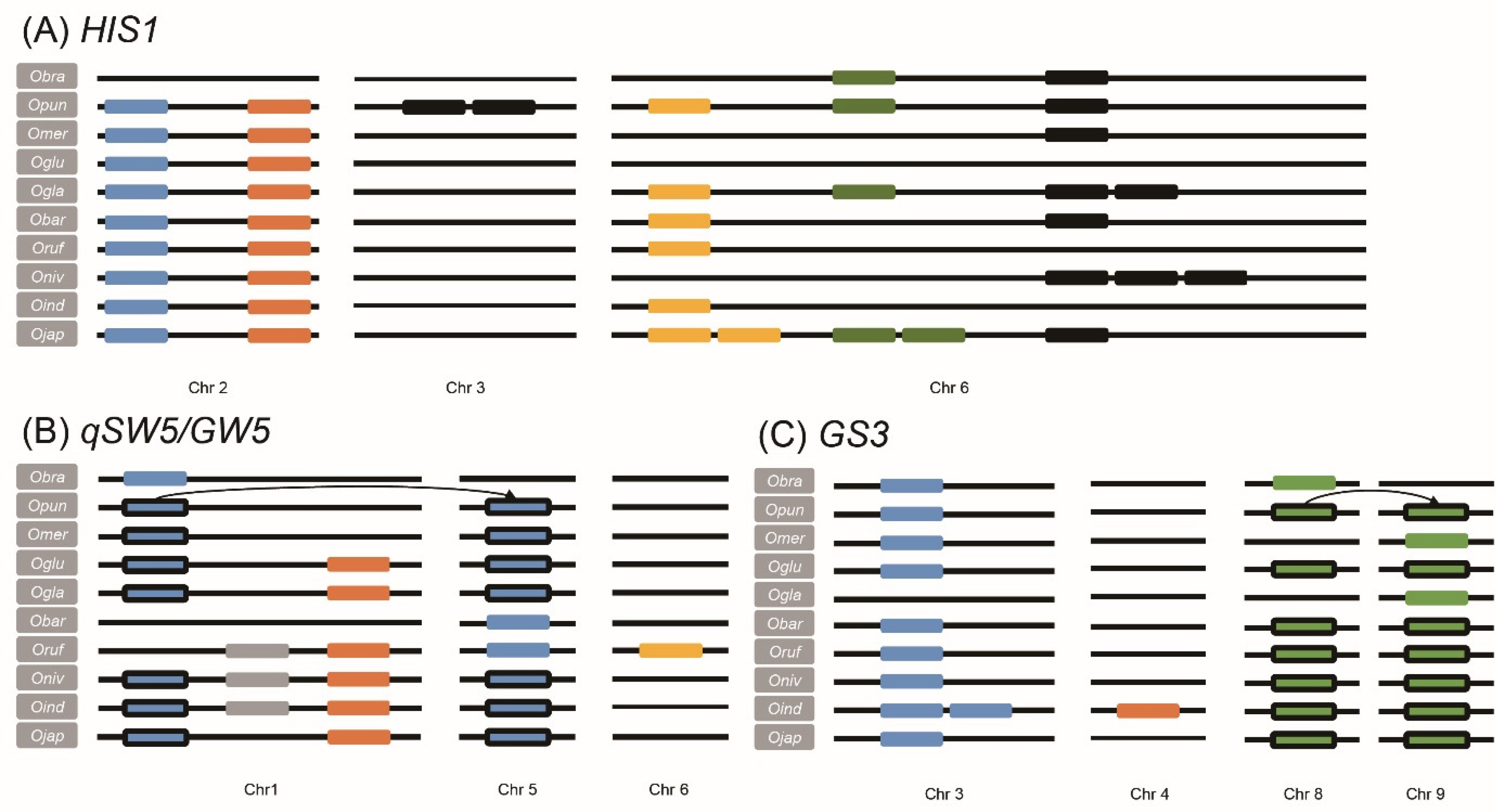 Agronomy 13 02100 g004