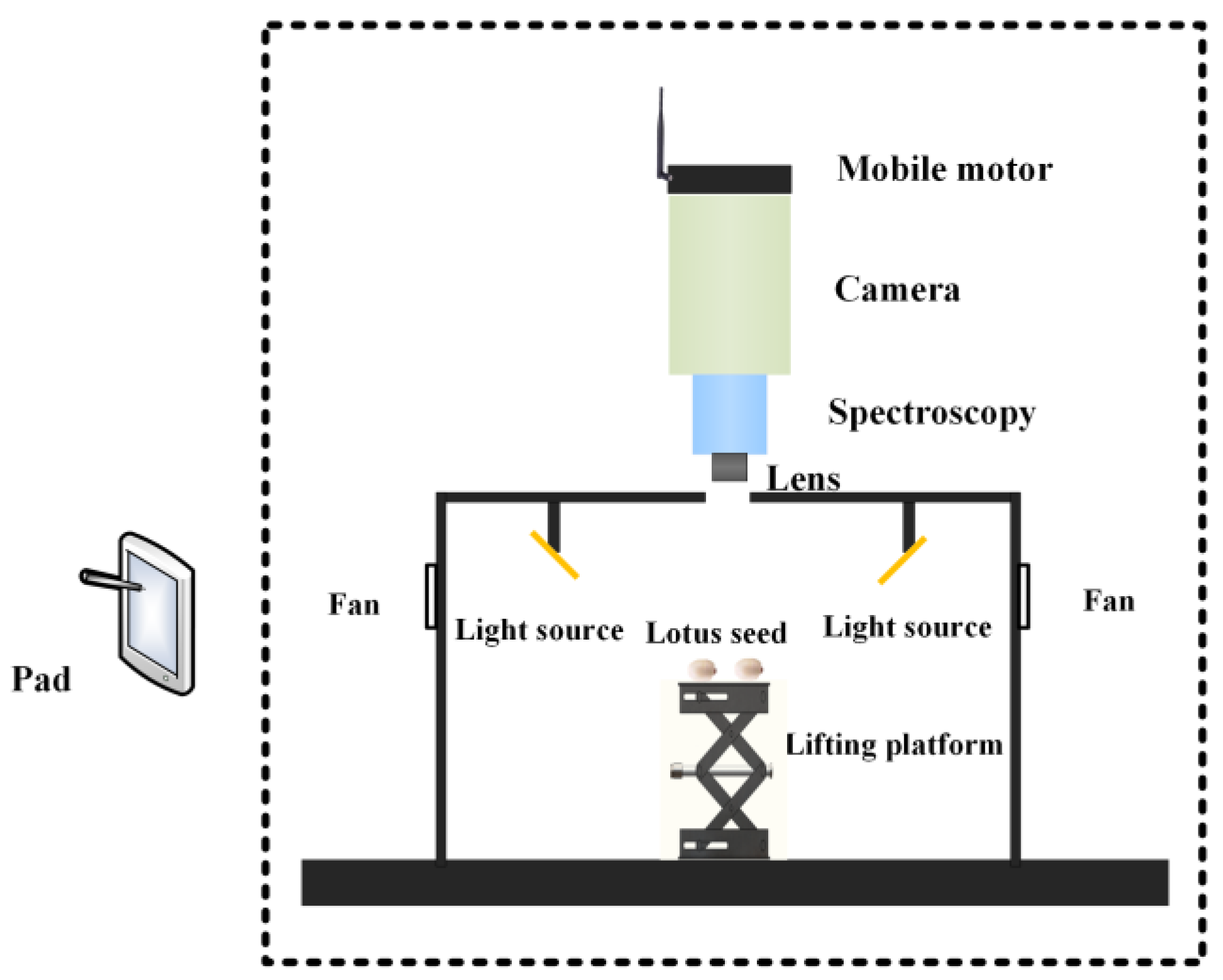 Agronomy 13 02104 g001 Agronomy 13 02104 g001