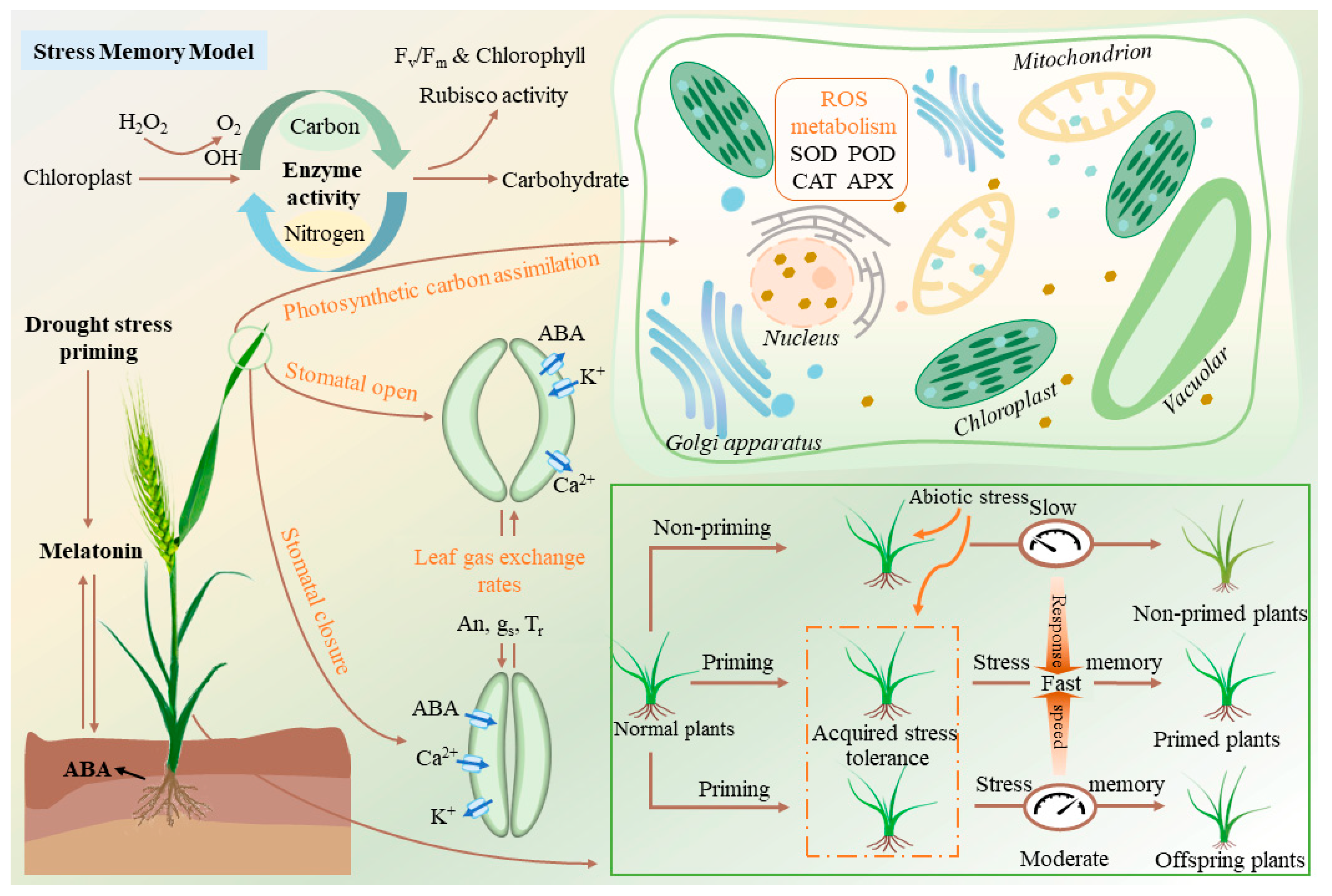 Agronomy 13 02105 g001
