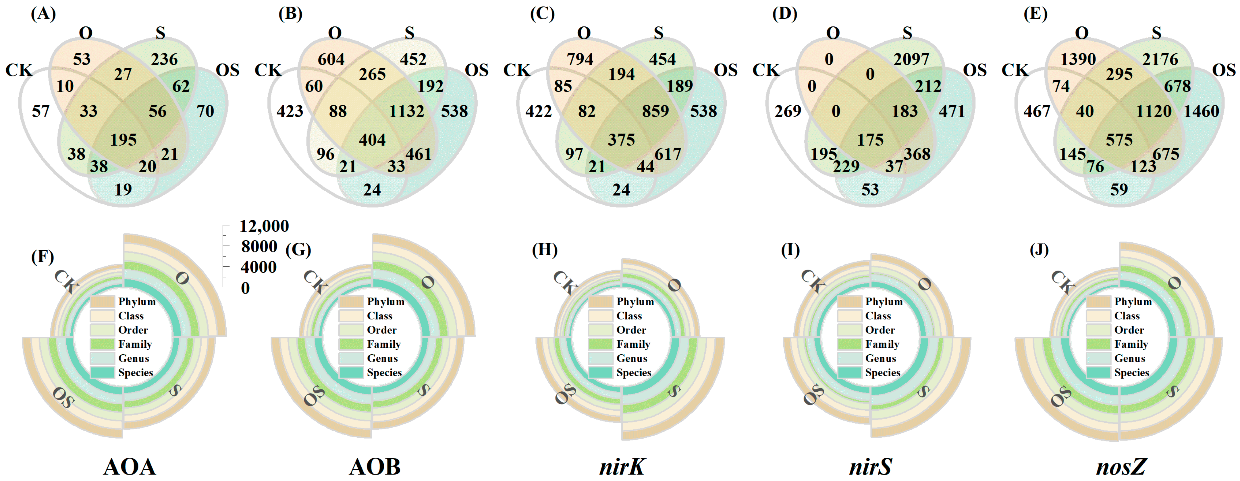Agronomy 13 02108 g005 Agronomy 13 02108 g005
