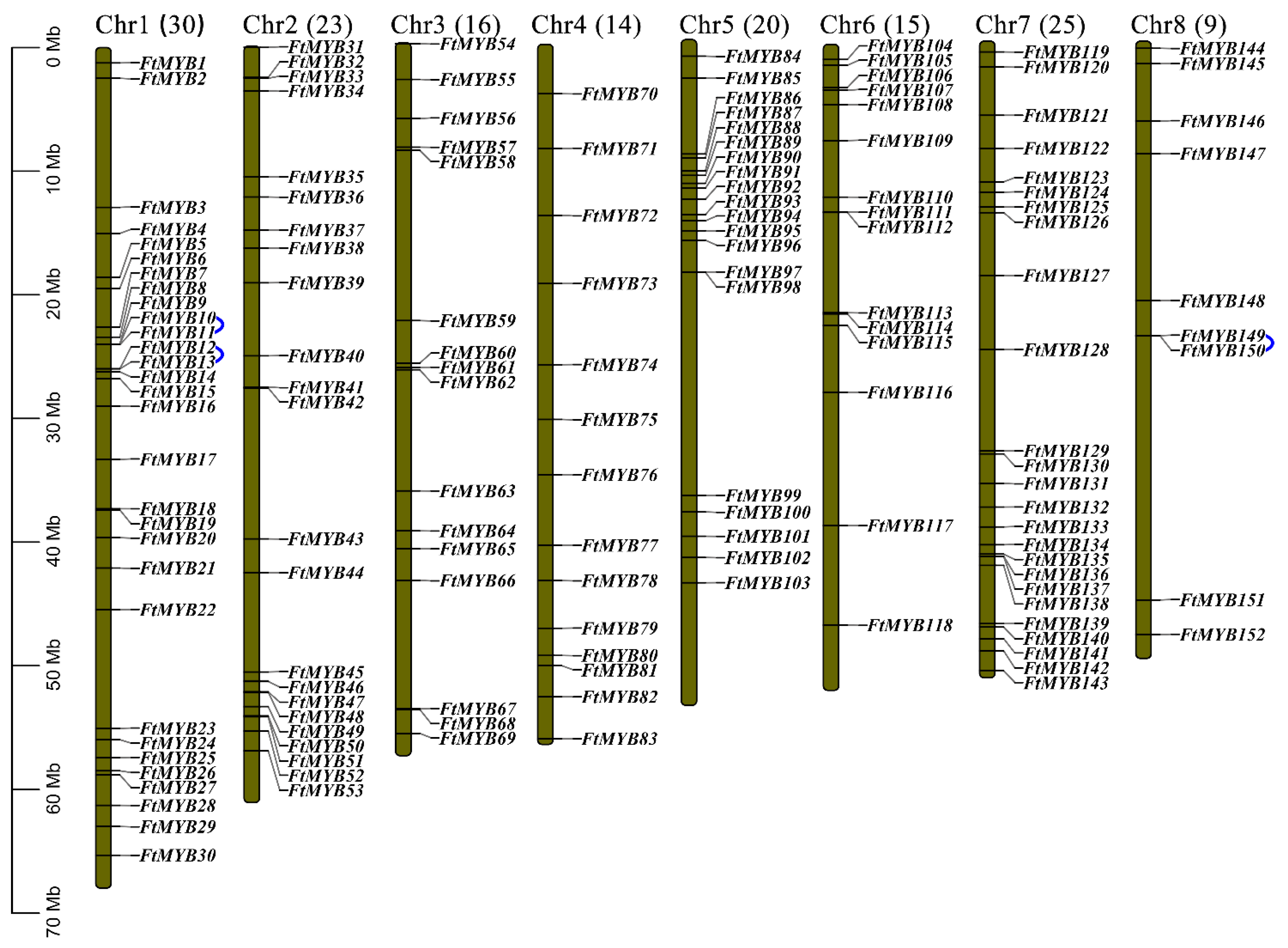 Agronomy 13 02117 g001 Agronomy 13 02117 g001