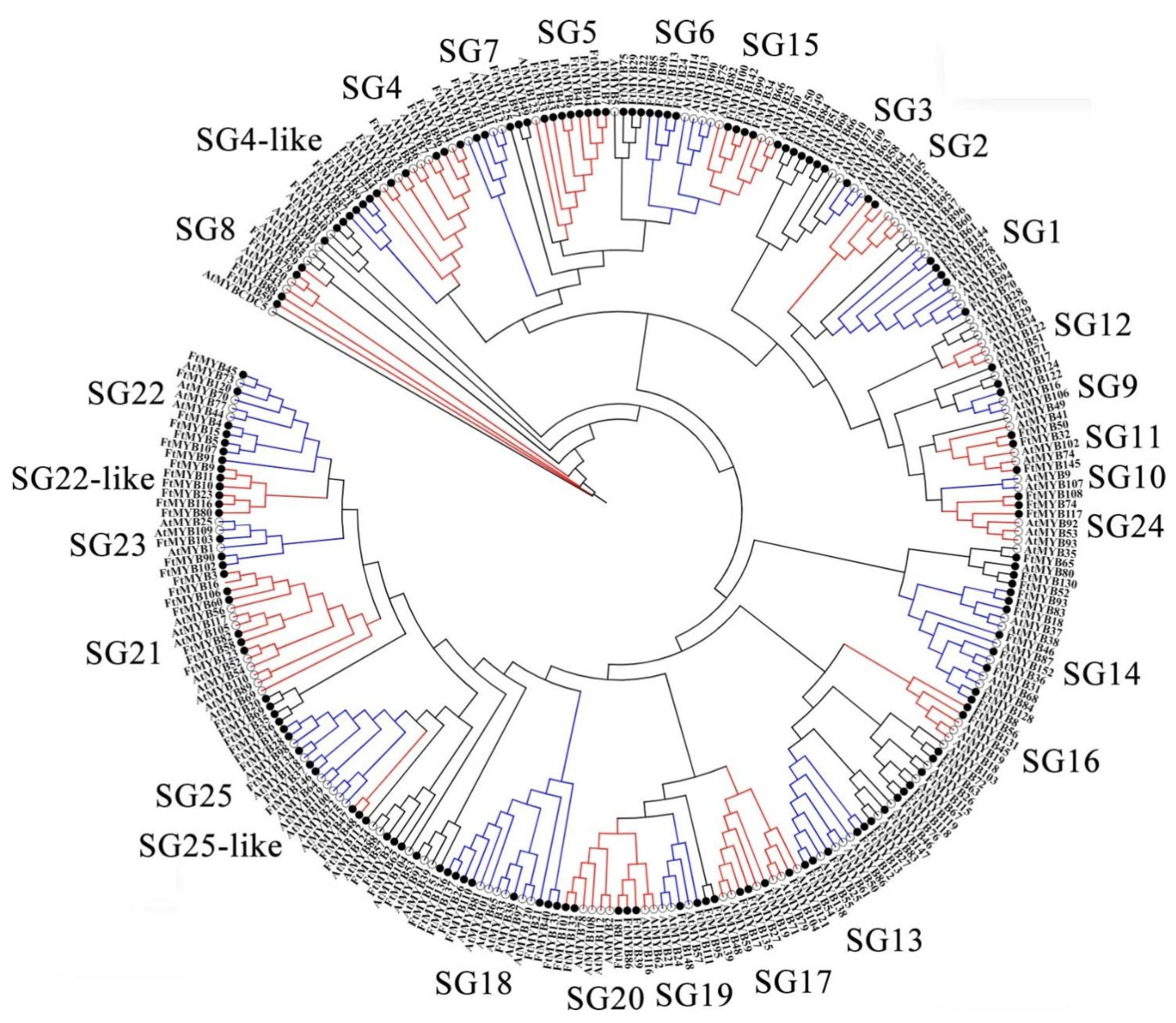 Agronomy 13 02117 g003 Agronomy 13 02117 g003