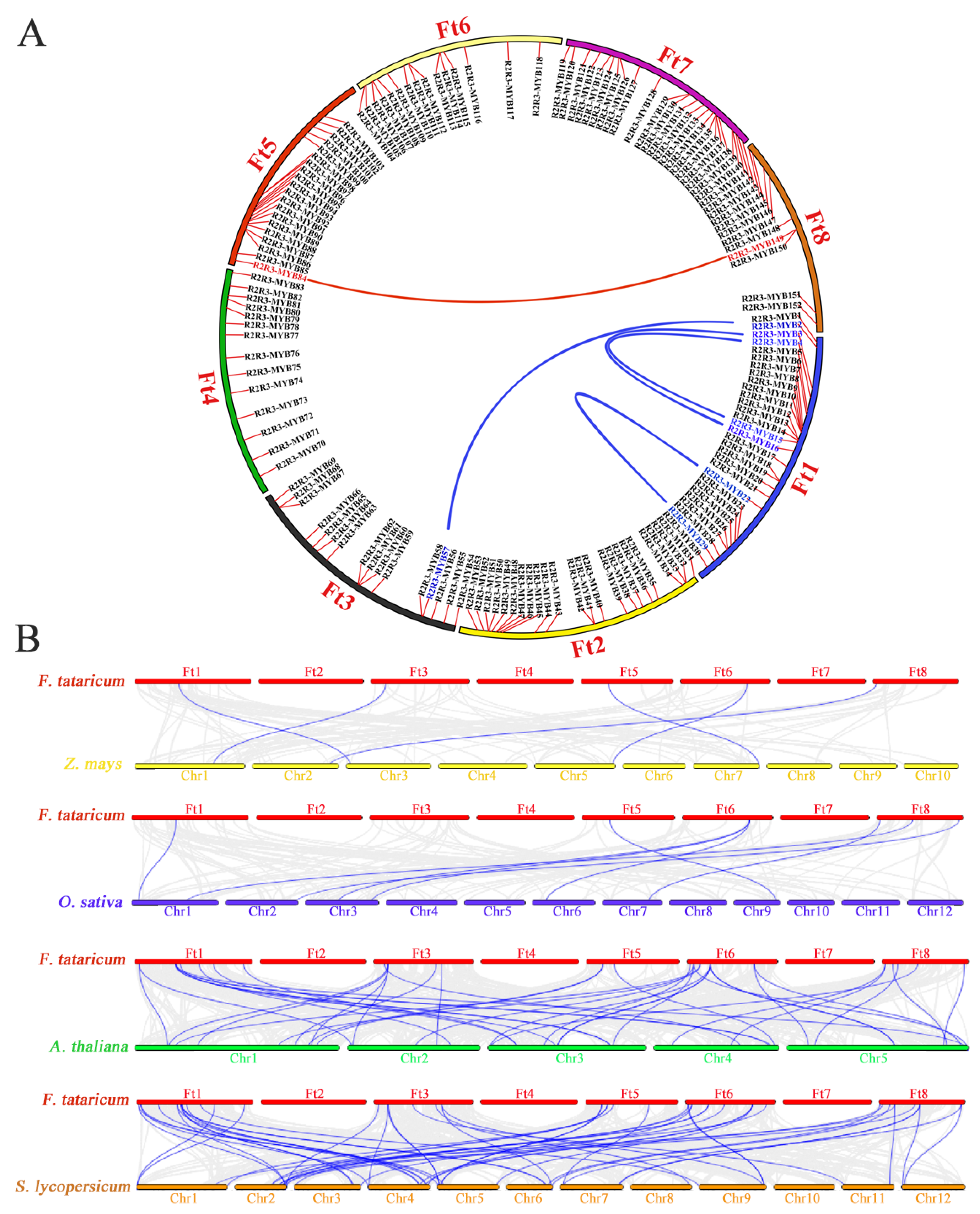 Agronomy 13 02117 g004 Agronomy 13 02117 g004