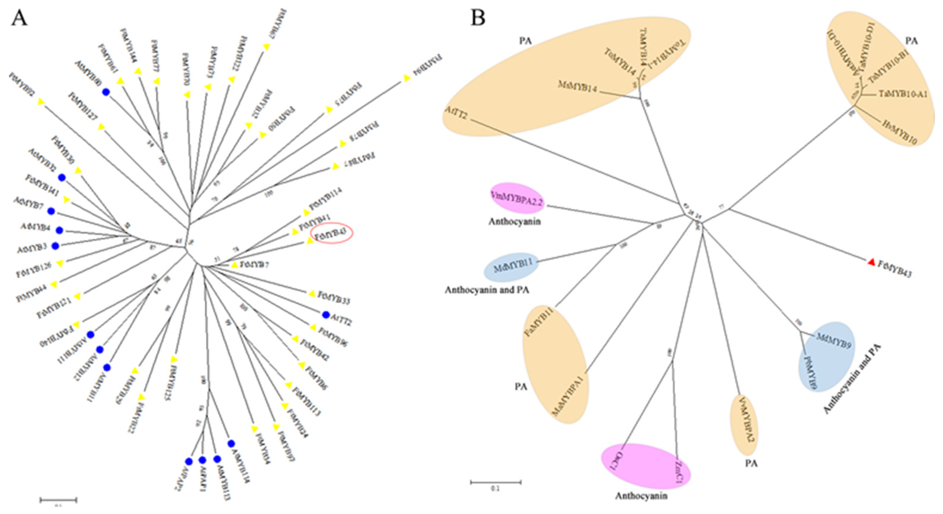 Agronomy 13 02117 g006 Agronomy 13 02117 g006