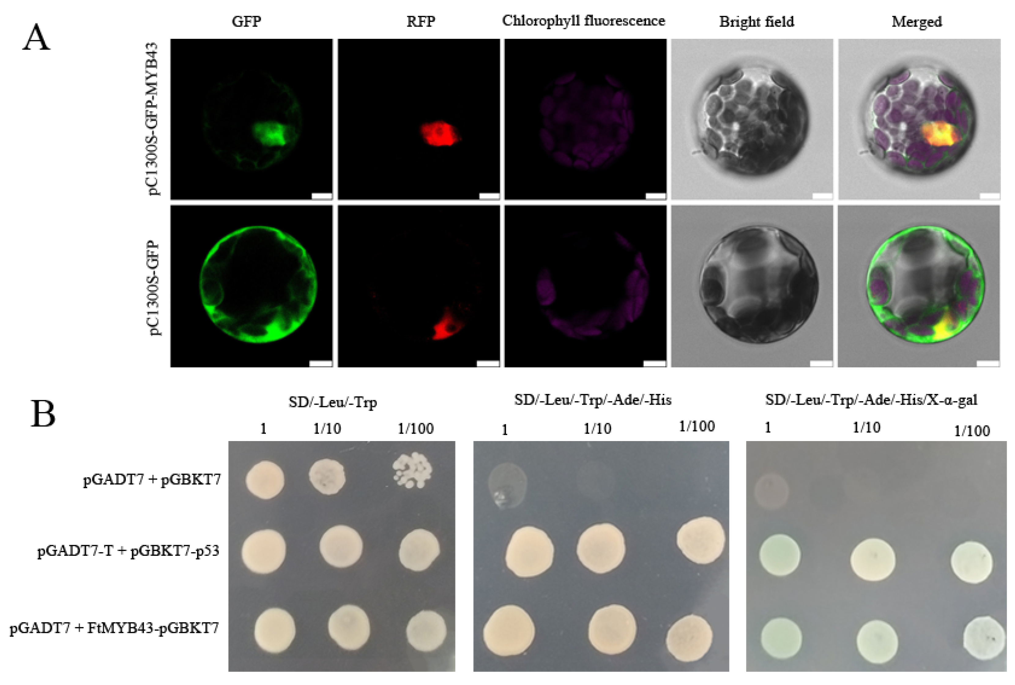 Agronomy 13 02117 g007 Agronomy 13 02117 g007