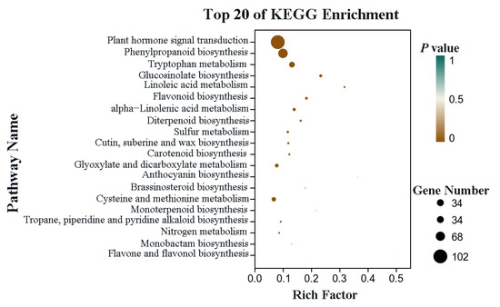 Comparative Study of Bolting Adaptability between 60Co-Induced