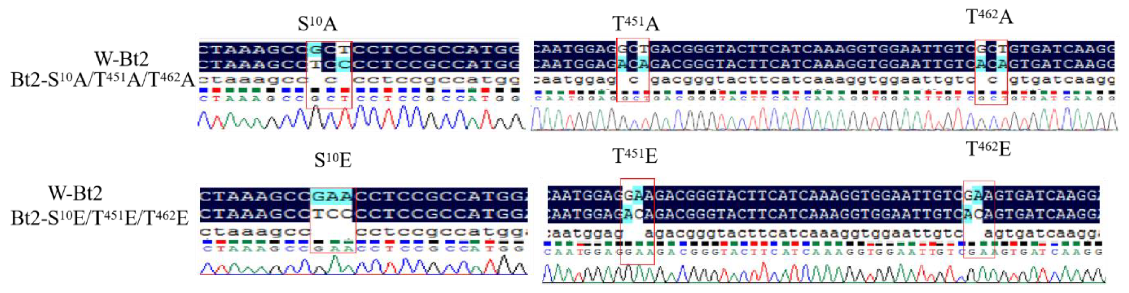 Agronomy 13 02119 g001 Agronomy 13 02119 g001