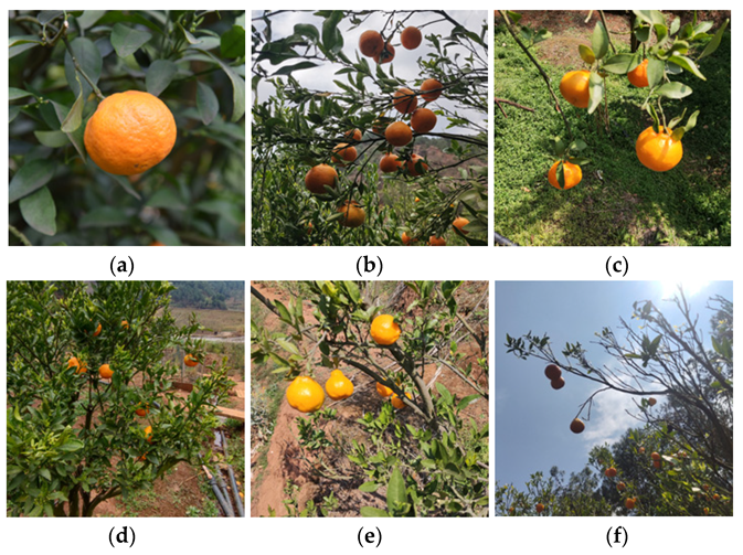 Agronomy 13 02122 g002 550