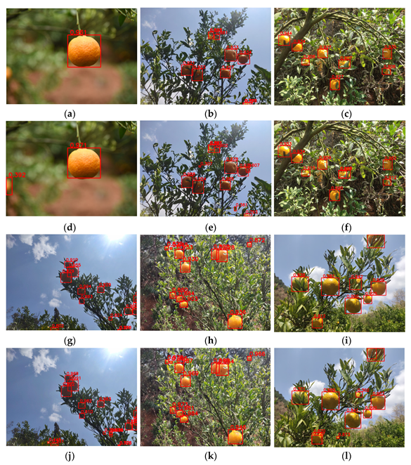 Agronomy 13 02122 g010 550