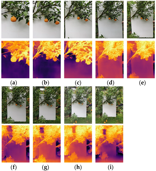 Agronomy 13 02122 g011 550