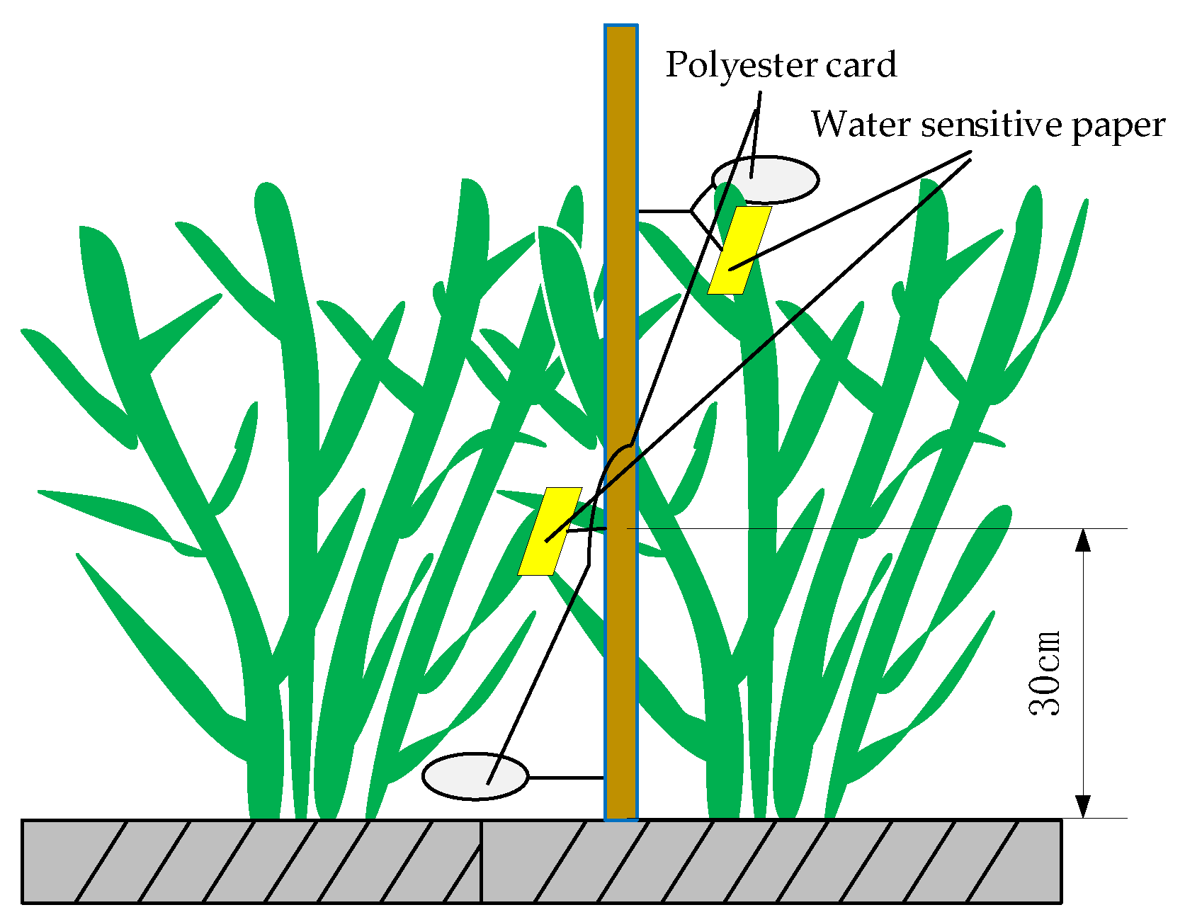 Agronomy 13 02131 g002