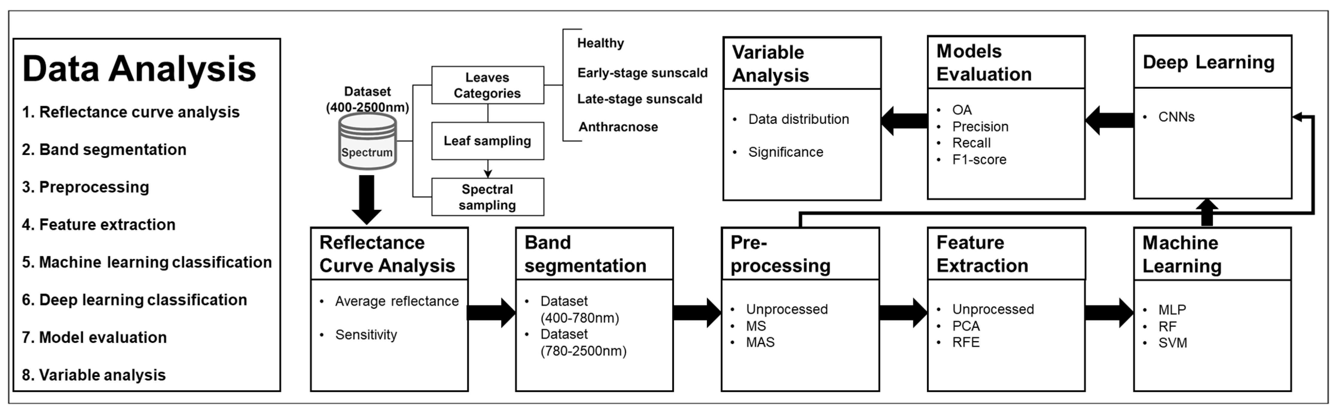 Agronomy 13 02137 g004