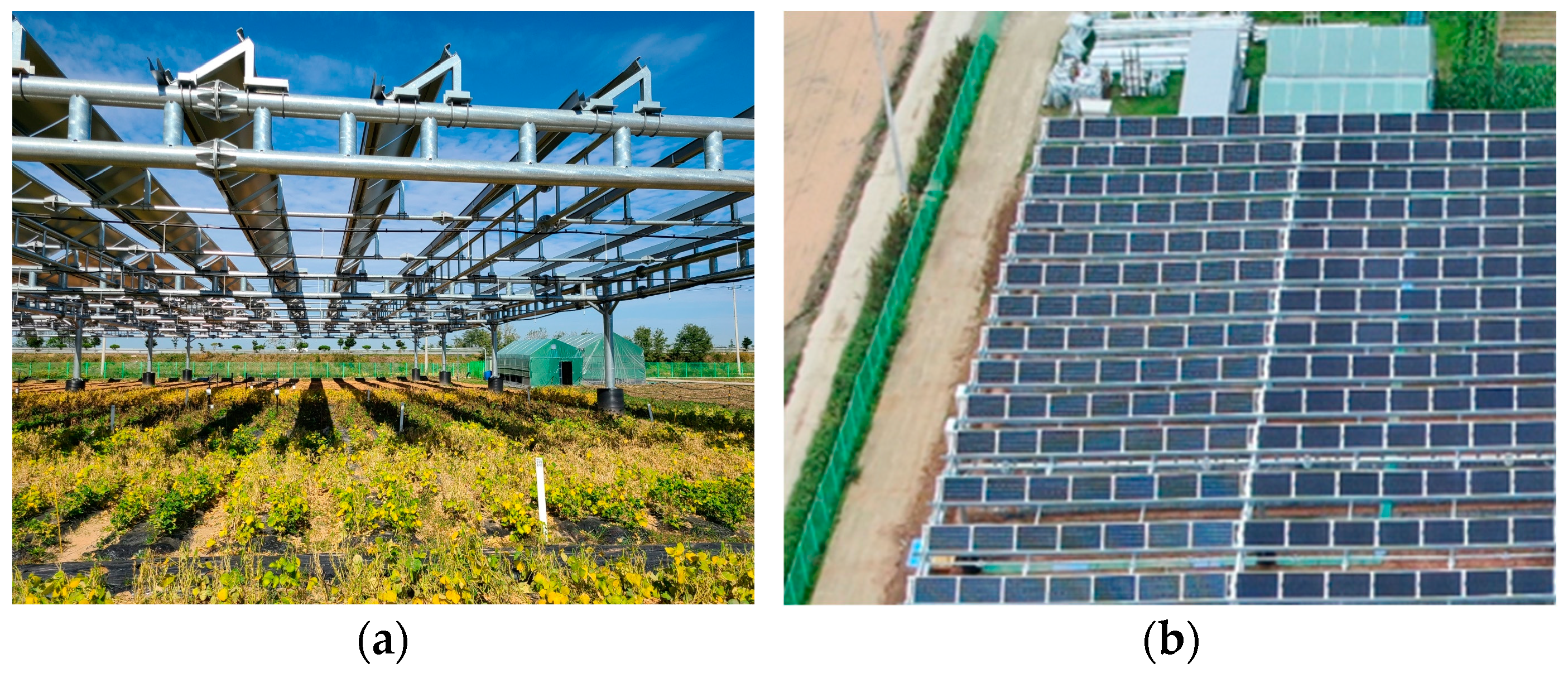 Agronomy 13 02140 g001 550