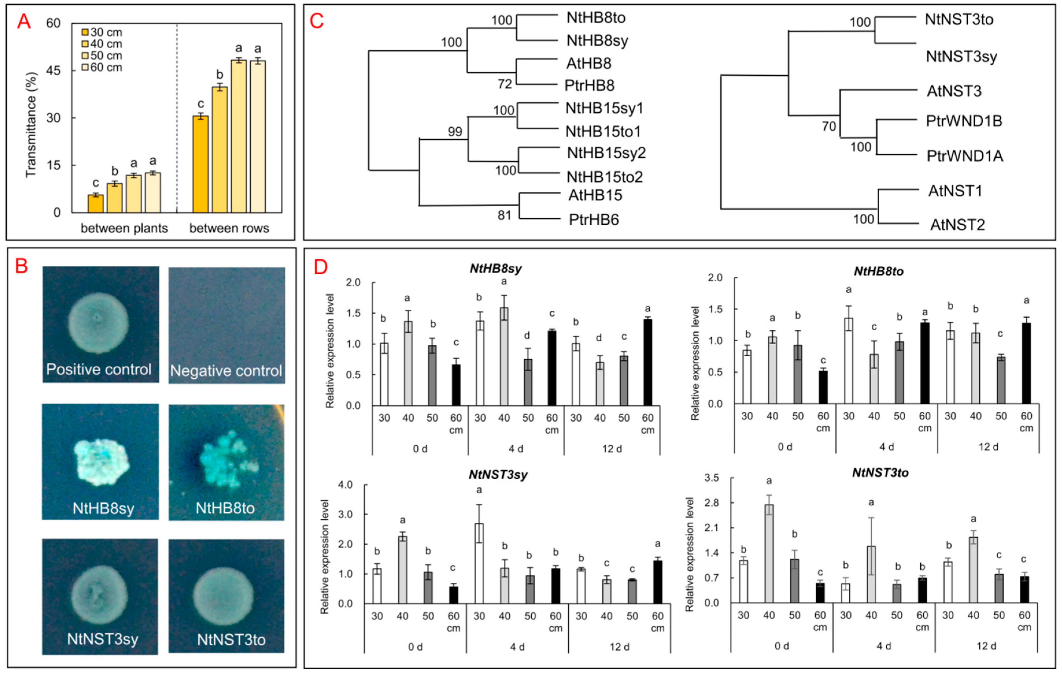 Agronomy 13 02142 g005