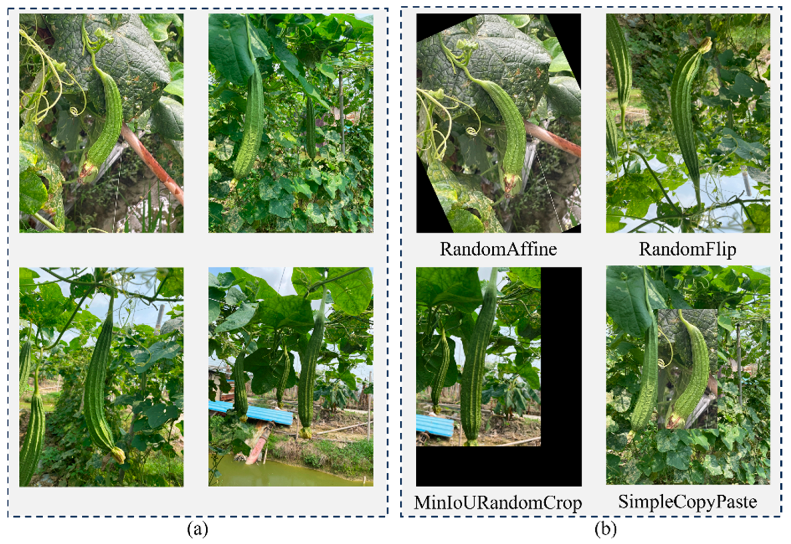 Agronomy 13 02144 g001 550