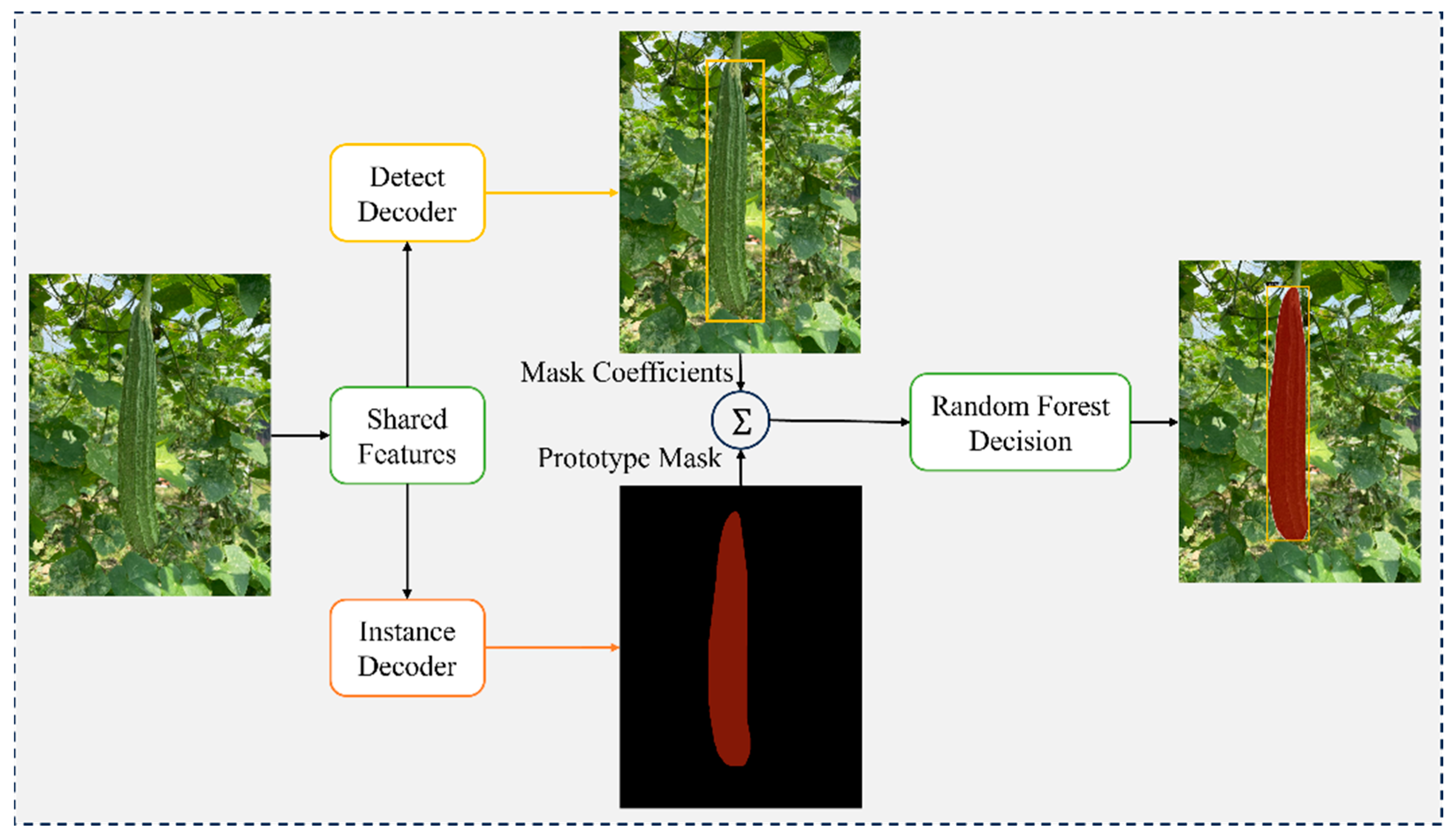 Agronomy 13 02144 g002 550