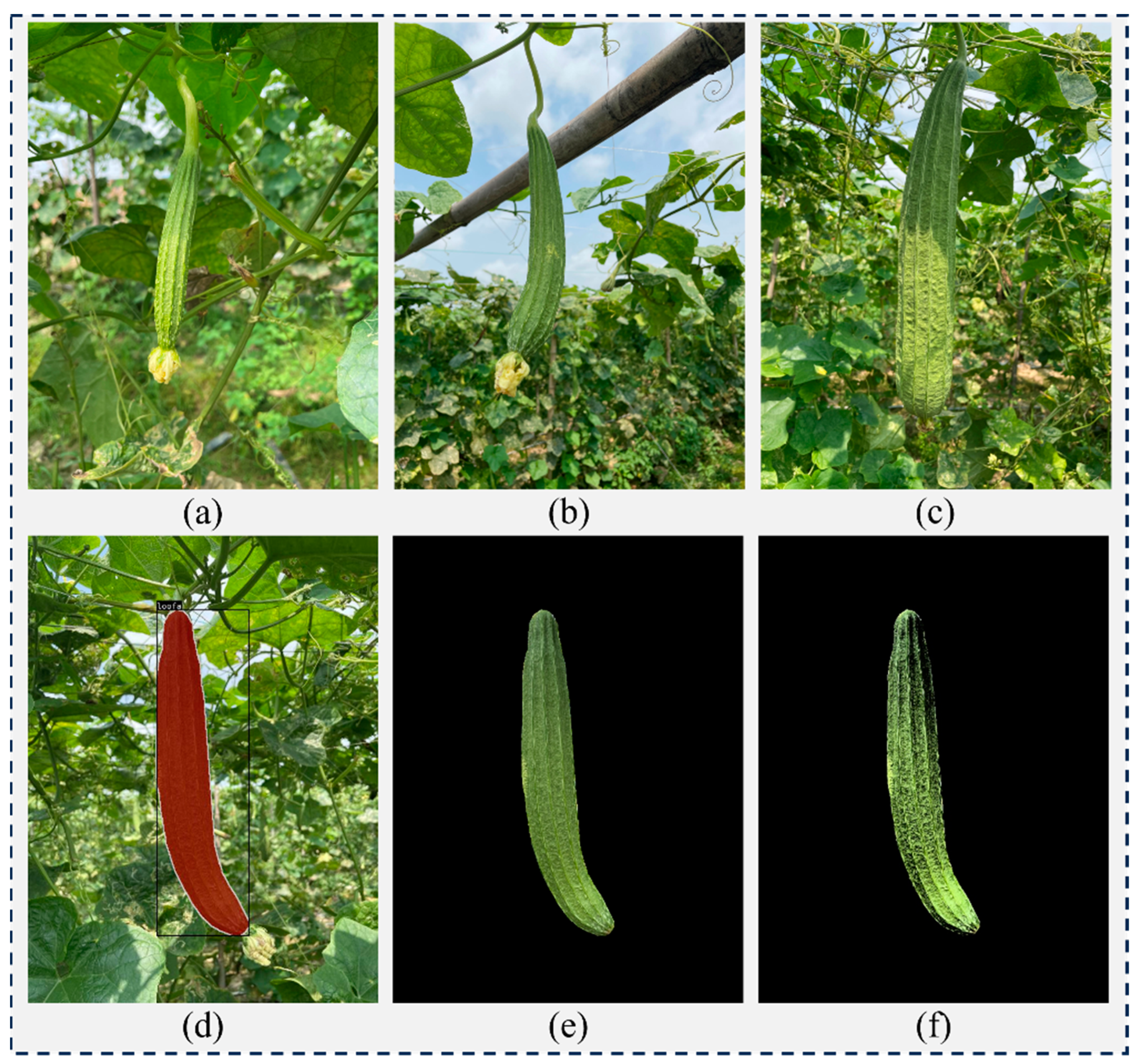Agronomy 13 02144 g005 550