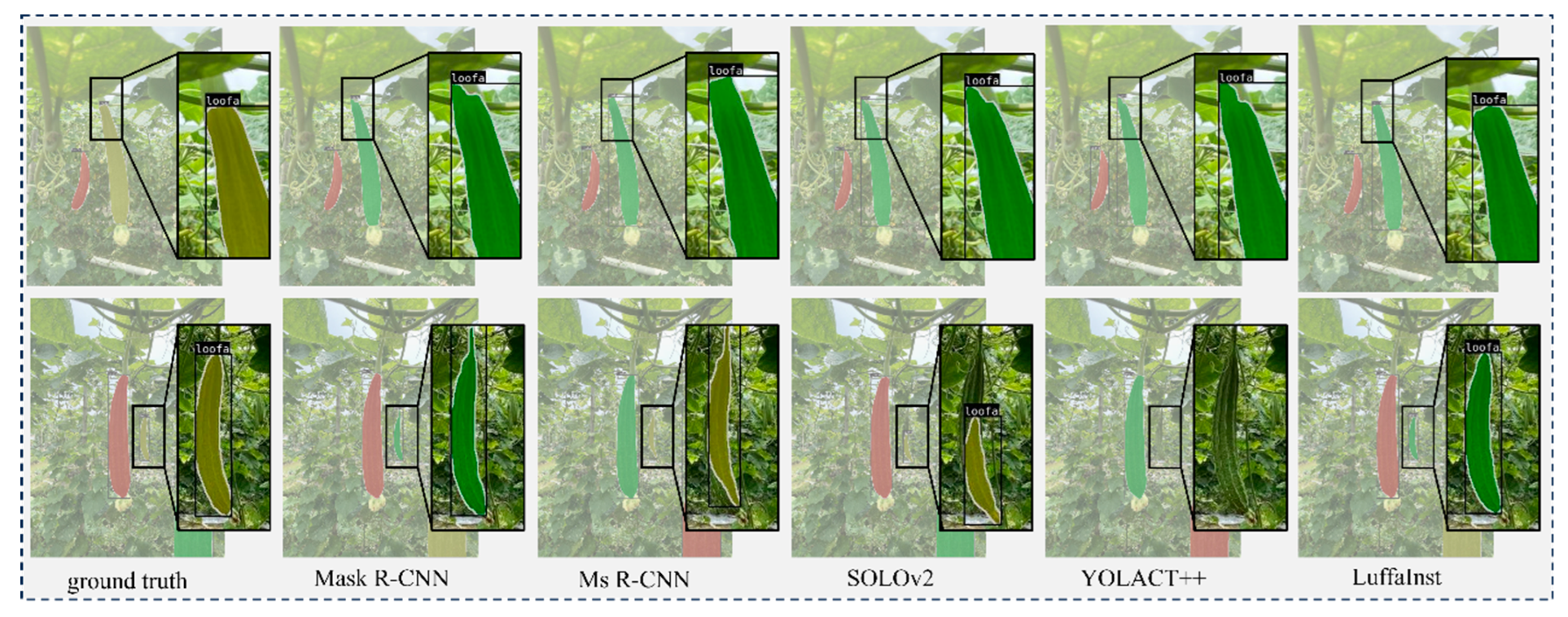 Agronomy 13 02144 g010 550
