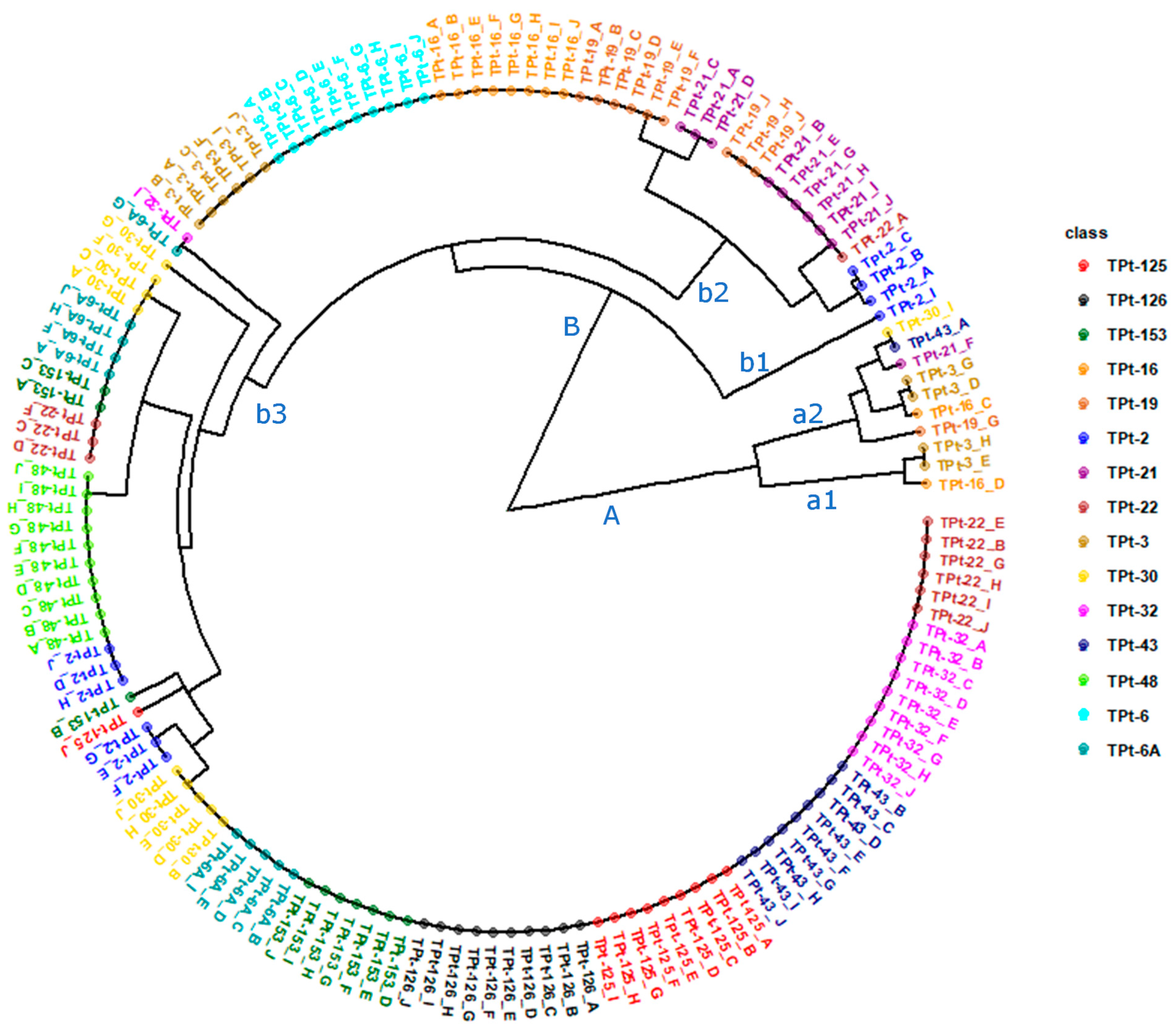 Agronomy 13 02150 g006