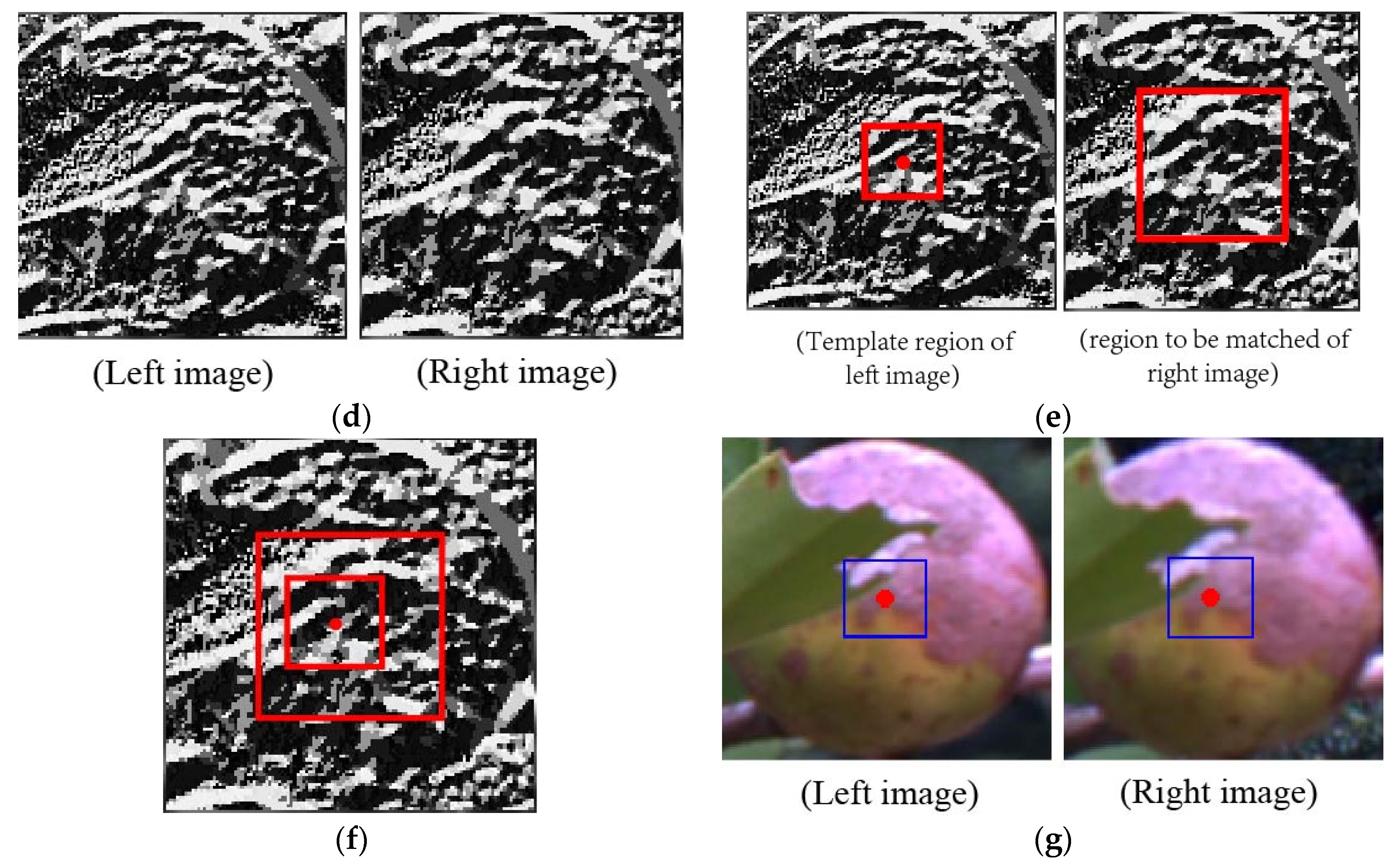 Agronomy 13 02153 g002b