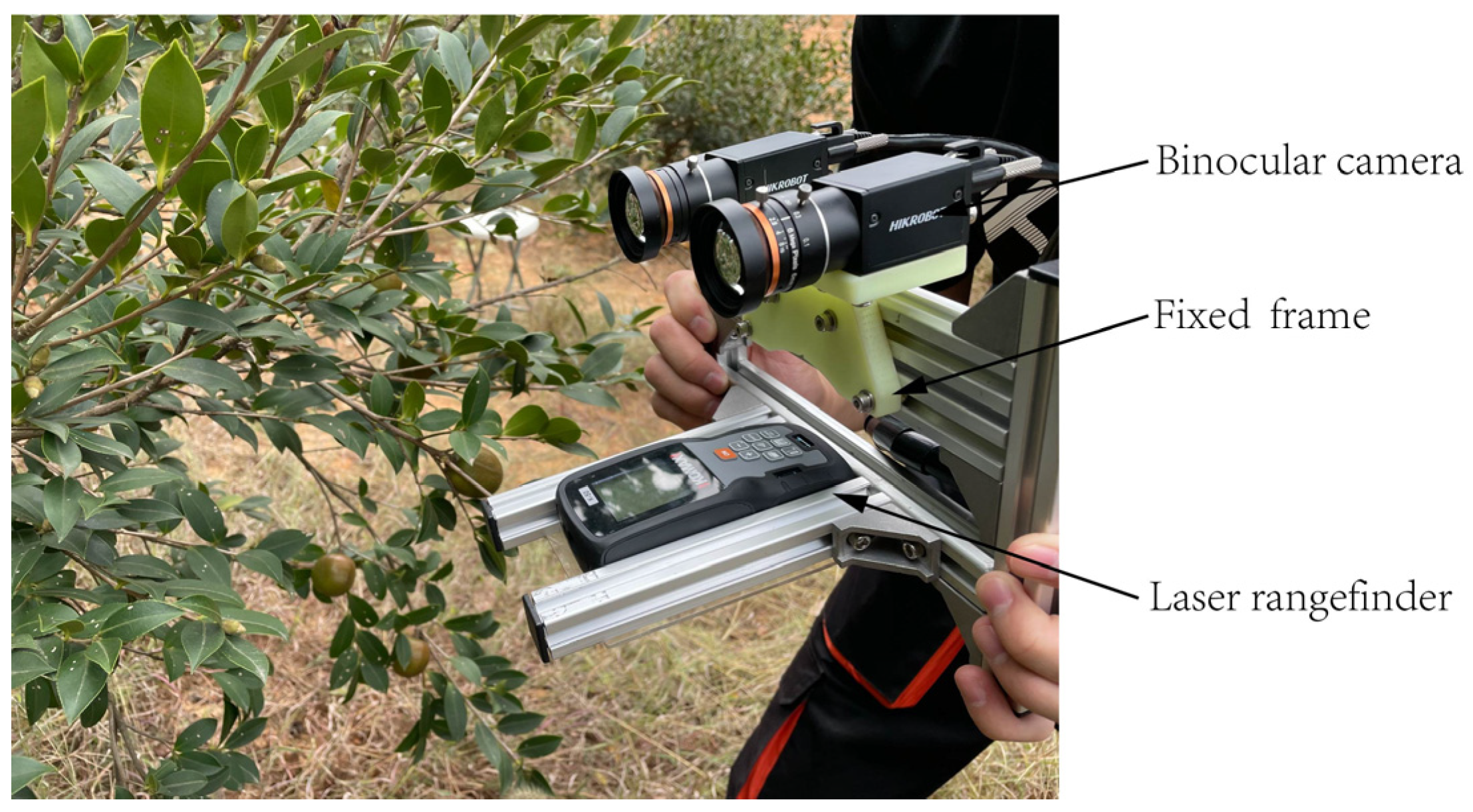 Agronomy 13 02153 g008