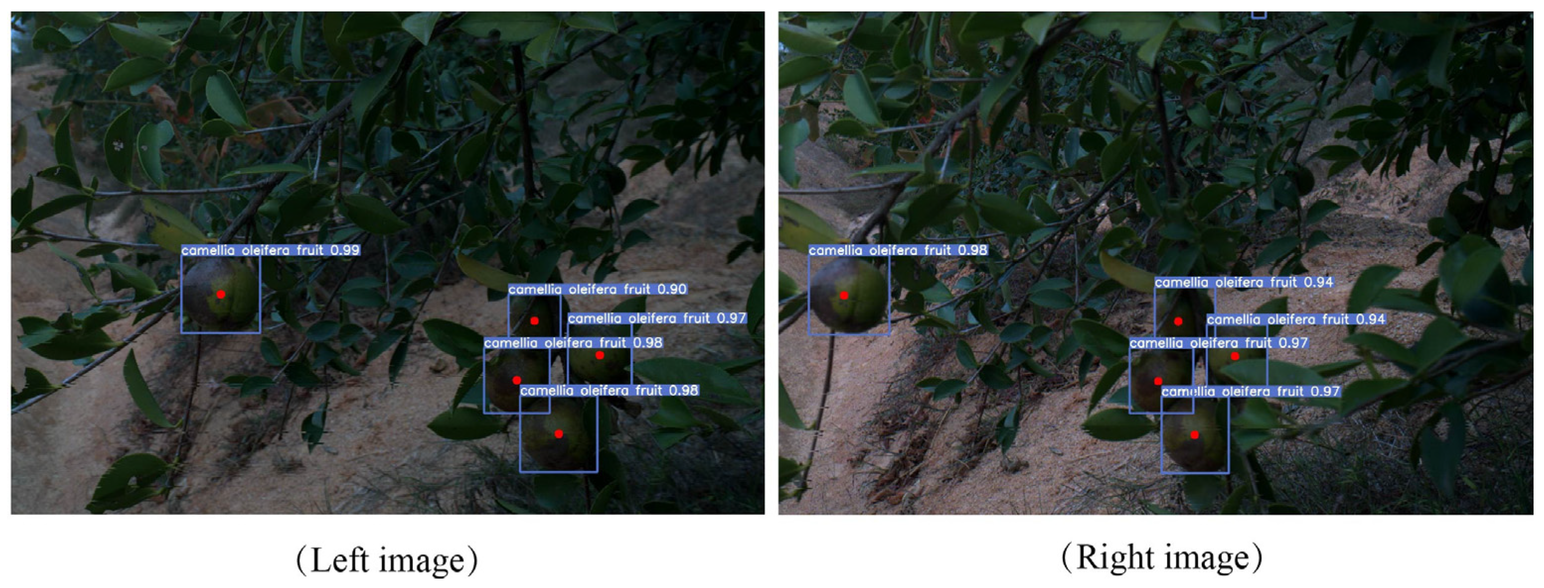 Agronomy 13 02153 g011