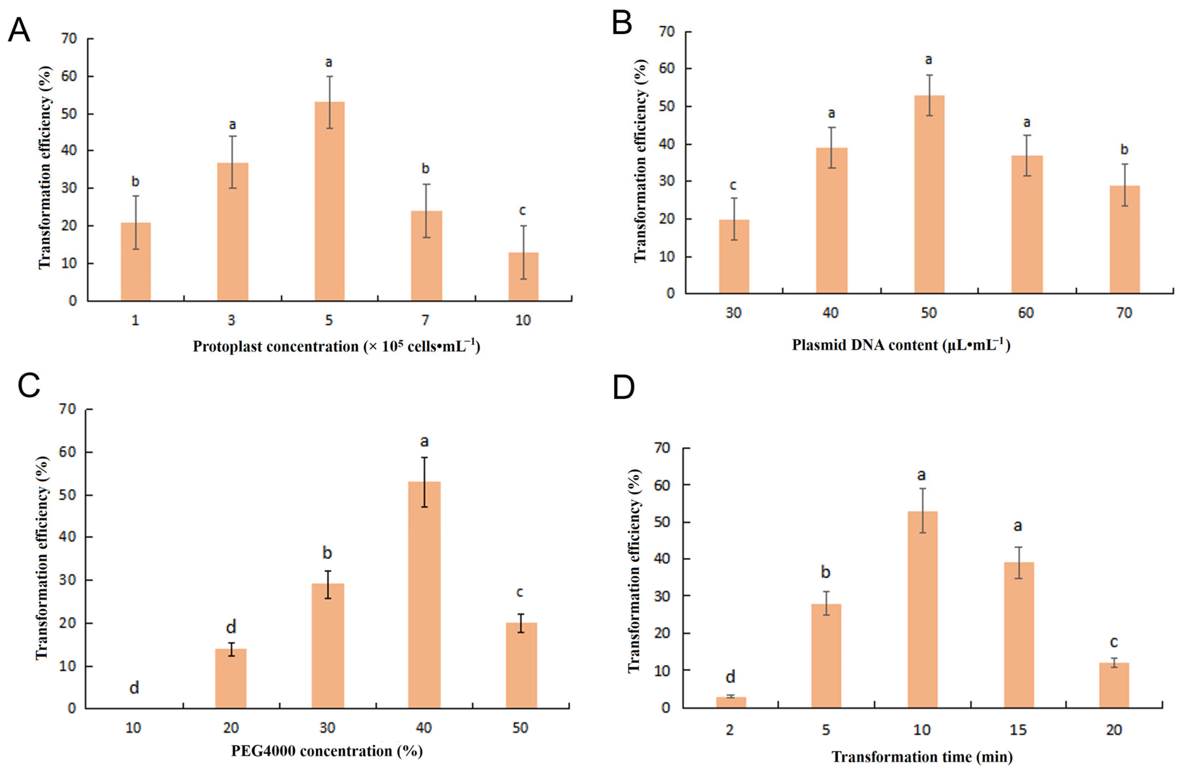 Agronomy 13 02154 g004