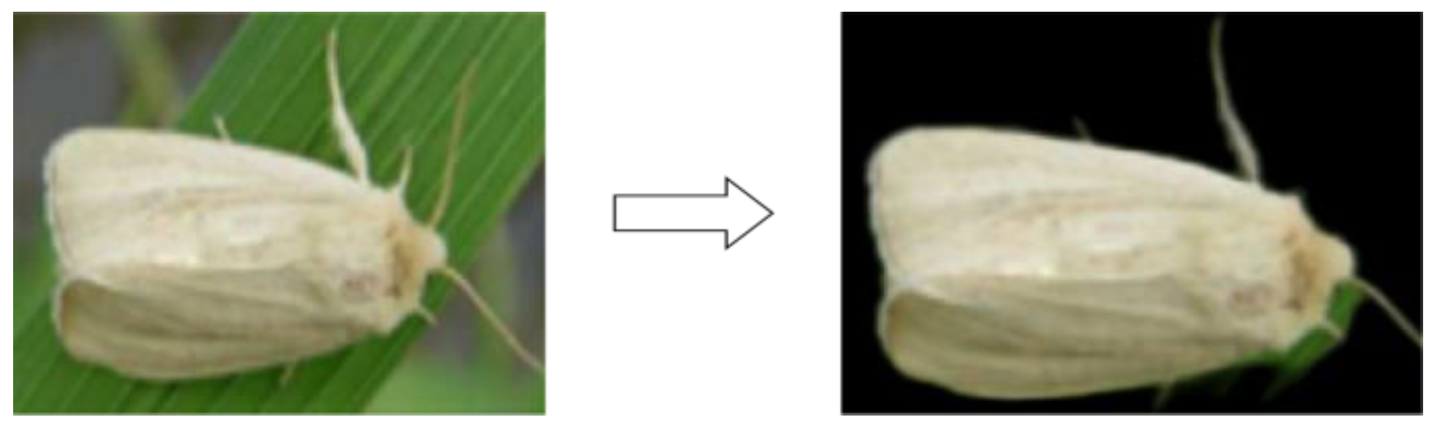 Agronomy 13 02155 g006
