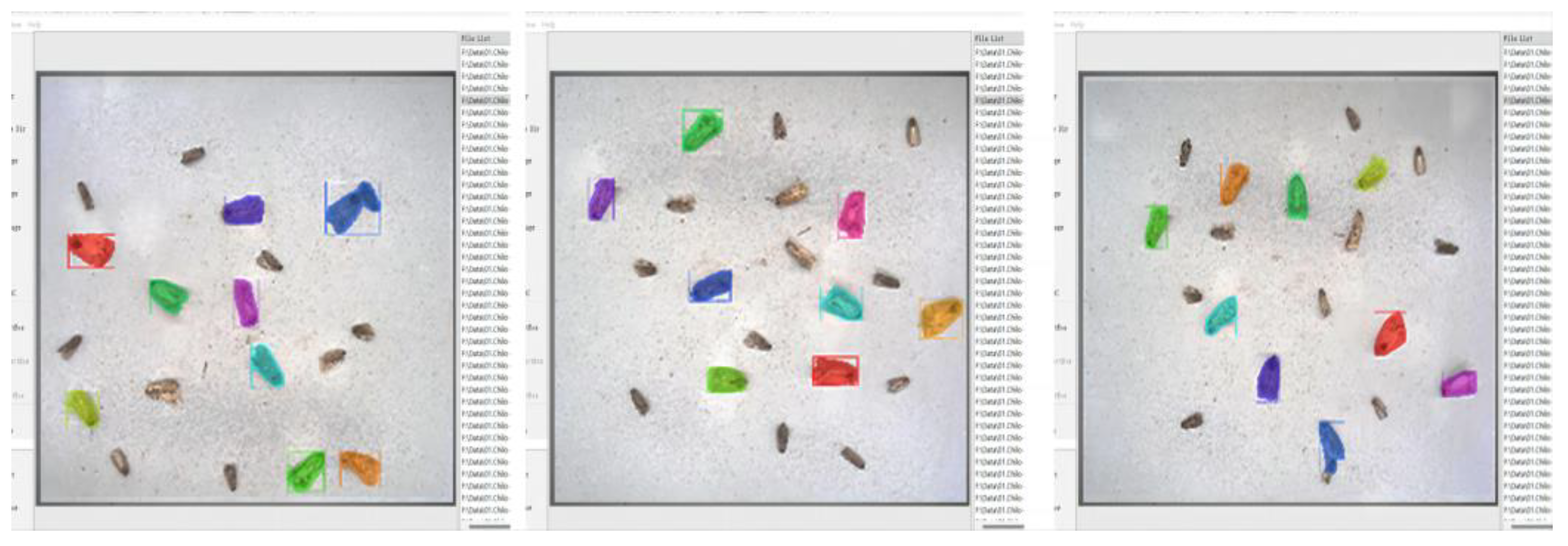 Agronomy 13 02155 g016