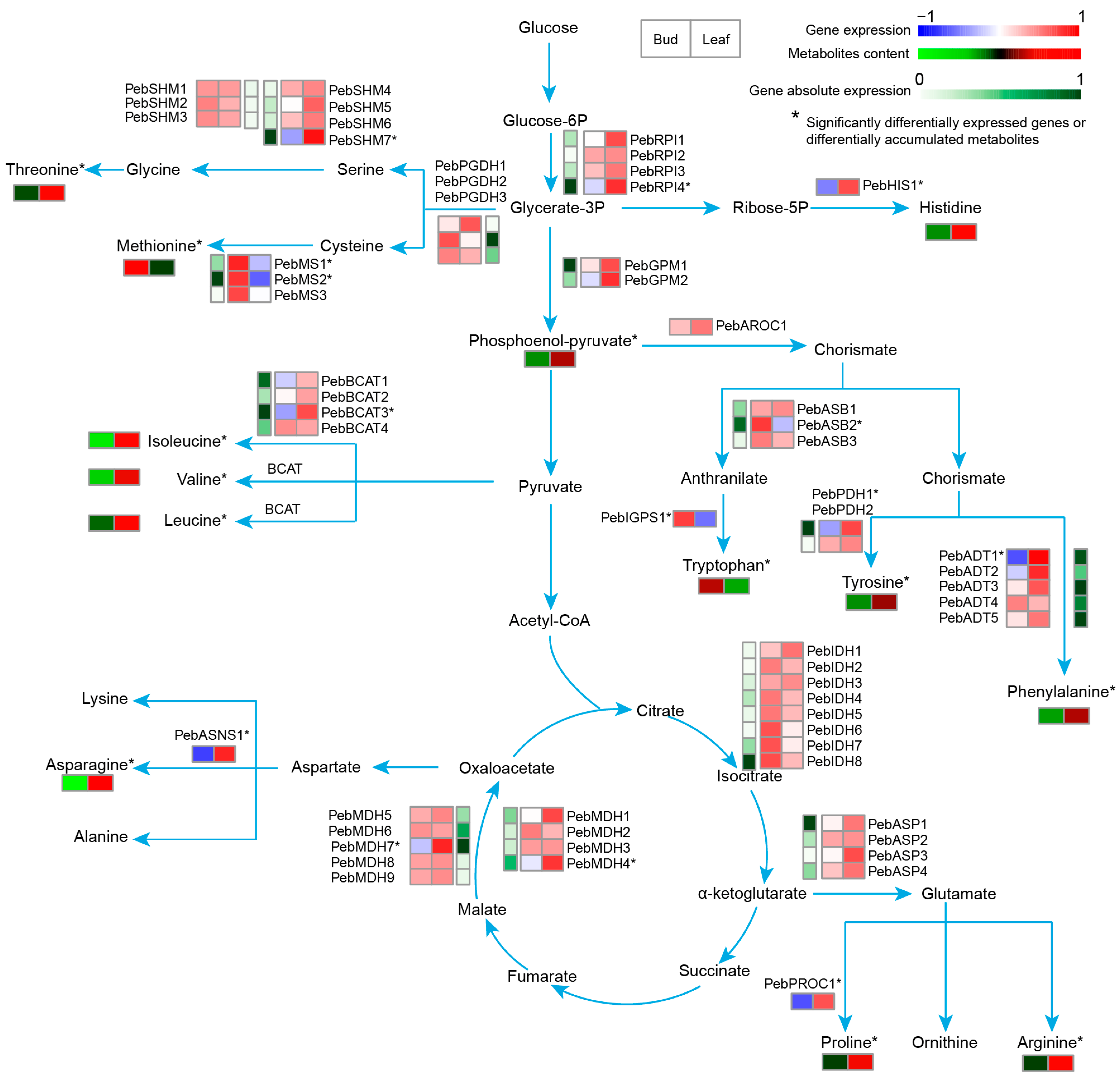 Agronomy 13 02157 g006