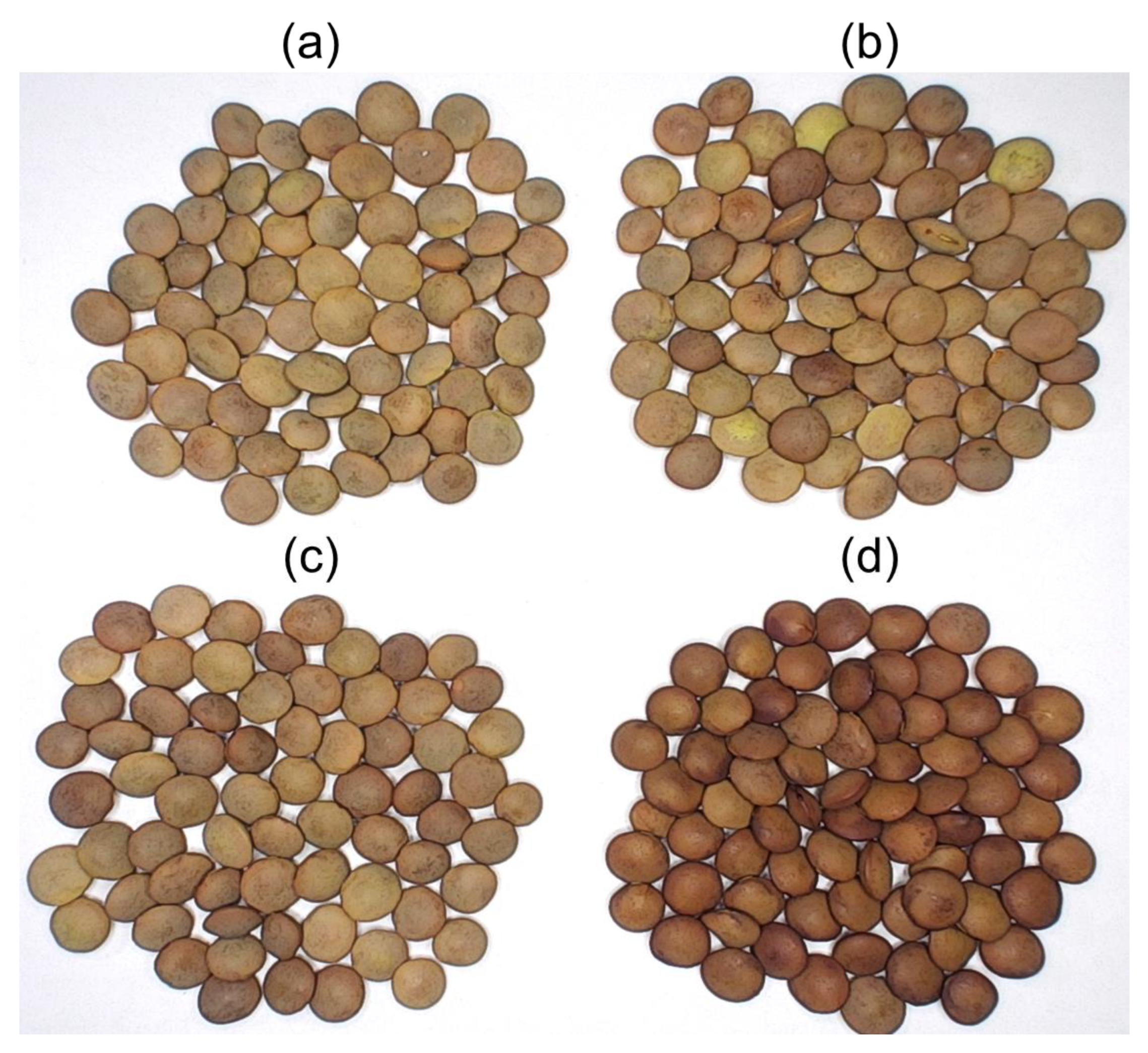 Agronomy 13 02160 g001