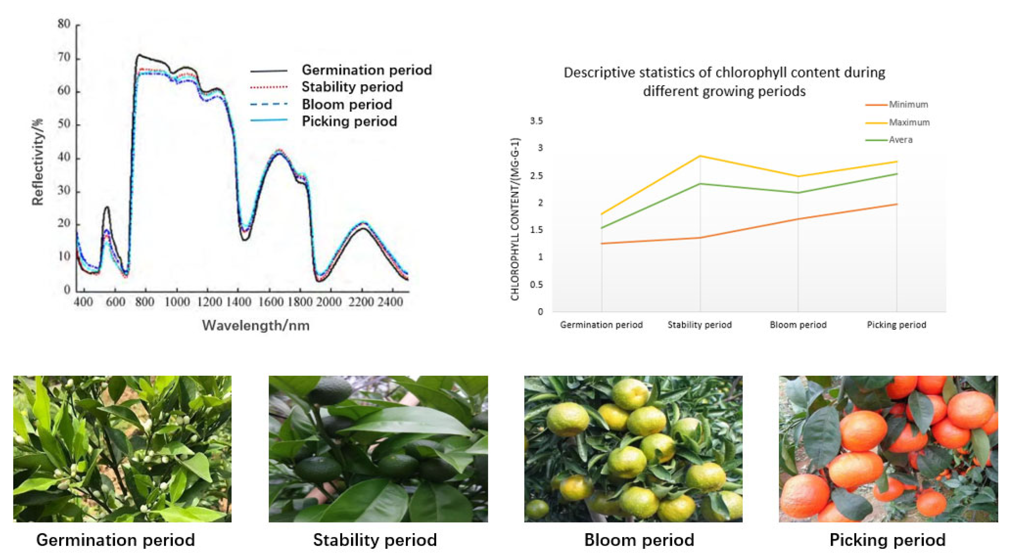Agronomy 13 02163 g003