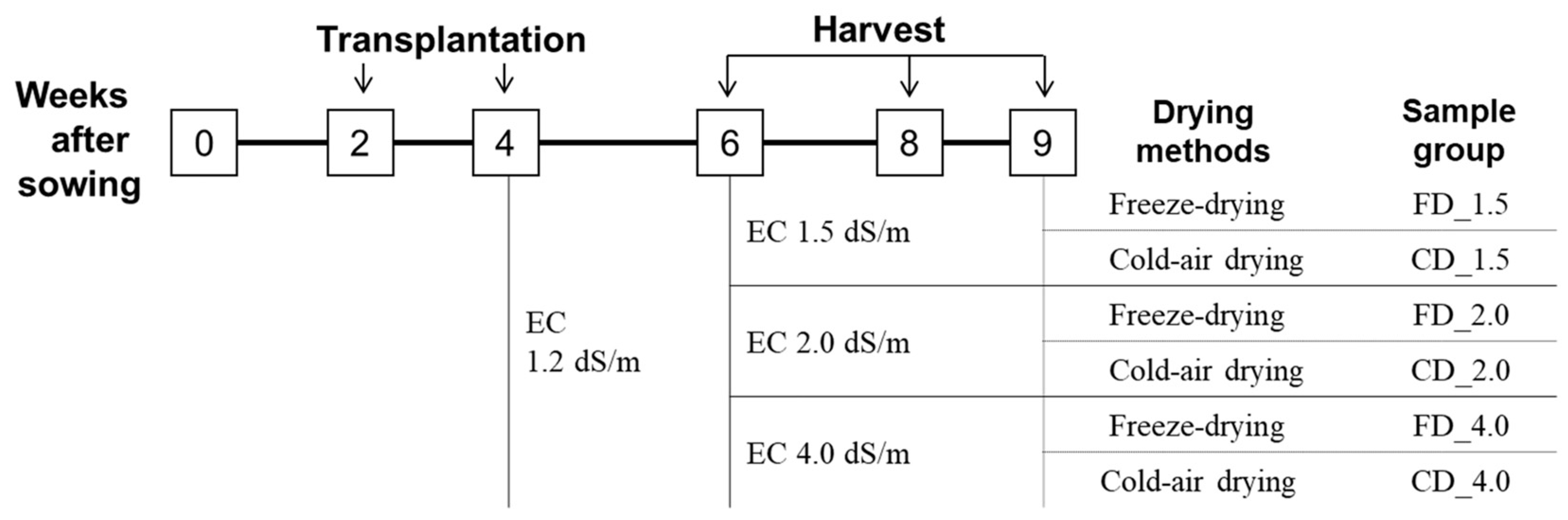 Agronomy 13 02165 g001