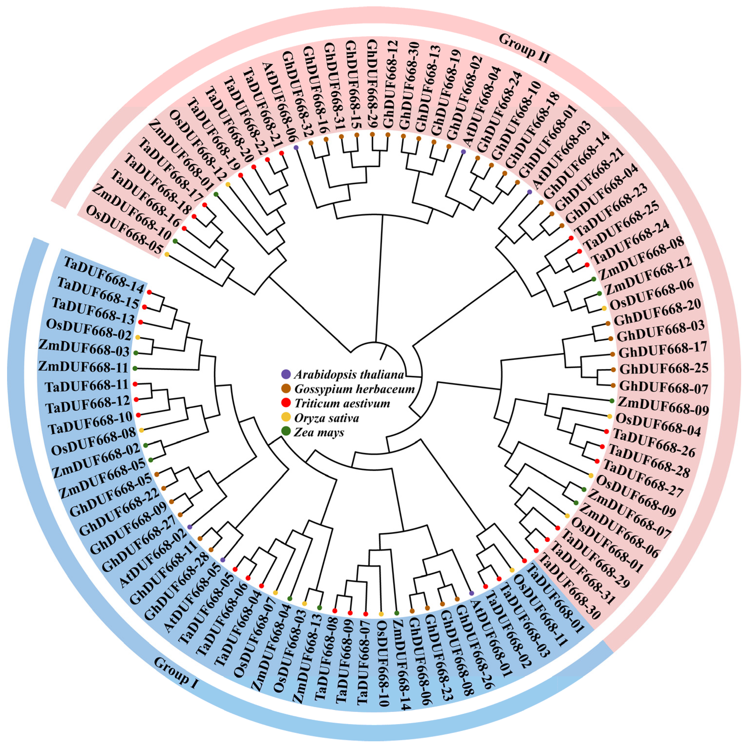 Agronomy 13 02178 g001
