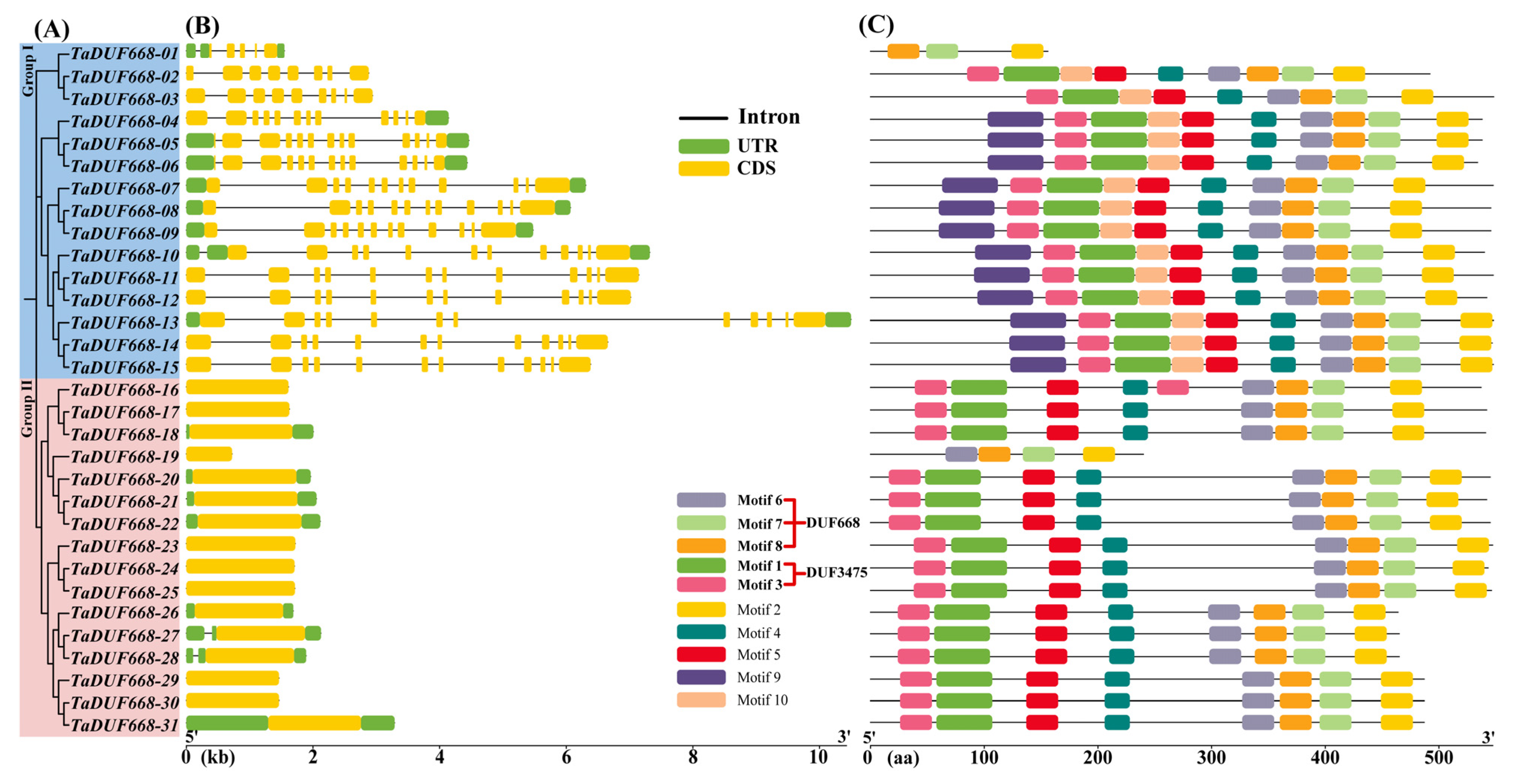 Agronomy 13 02178 g003
