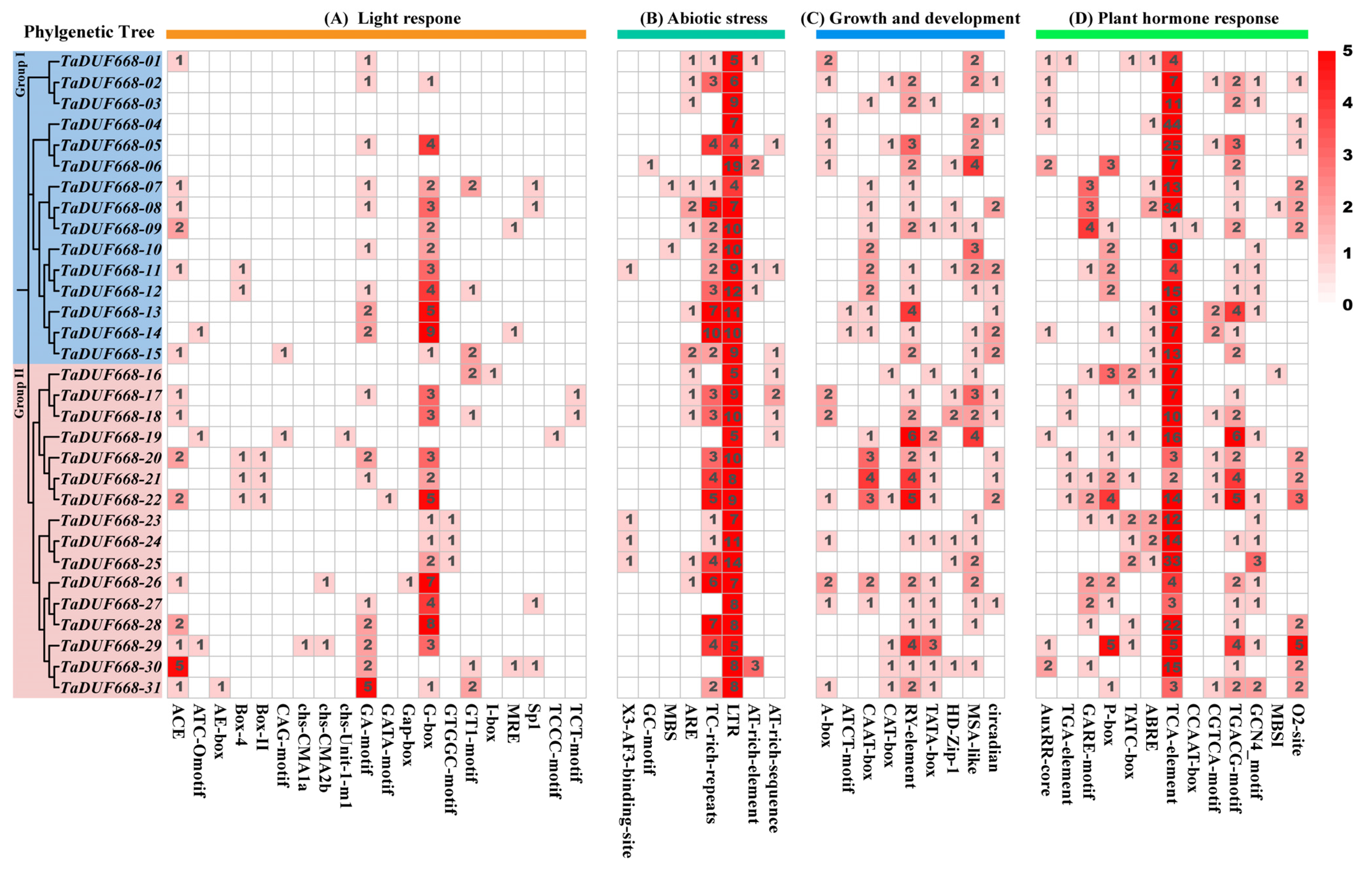 Agronomy 13 02178 g005