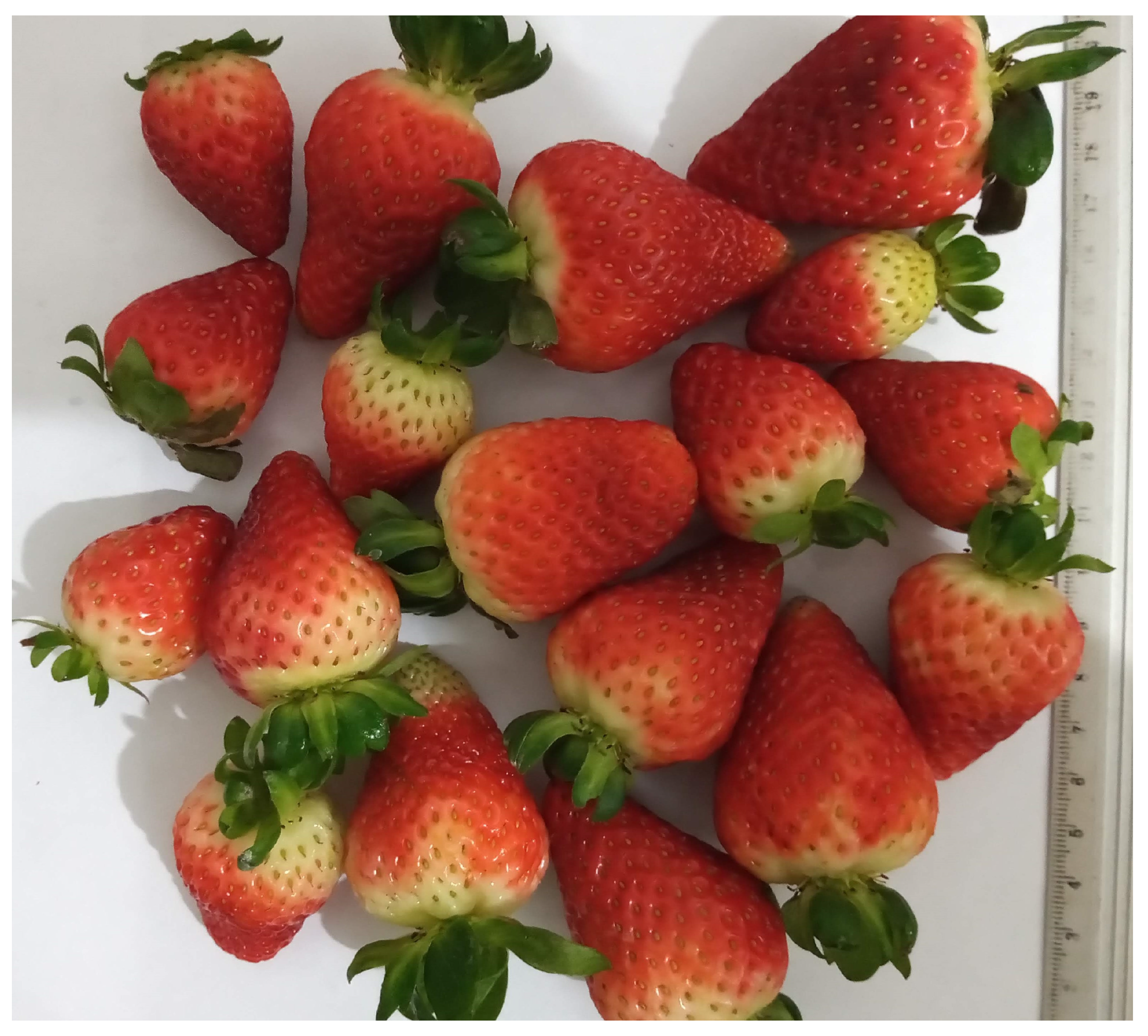 Agronomy 13 02179 g0a11