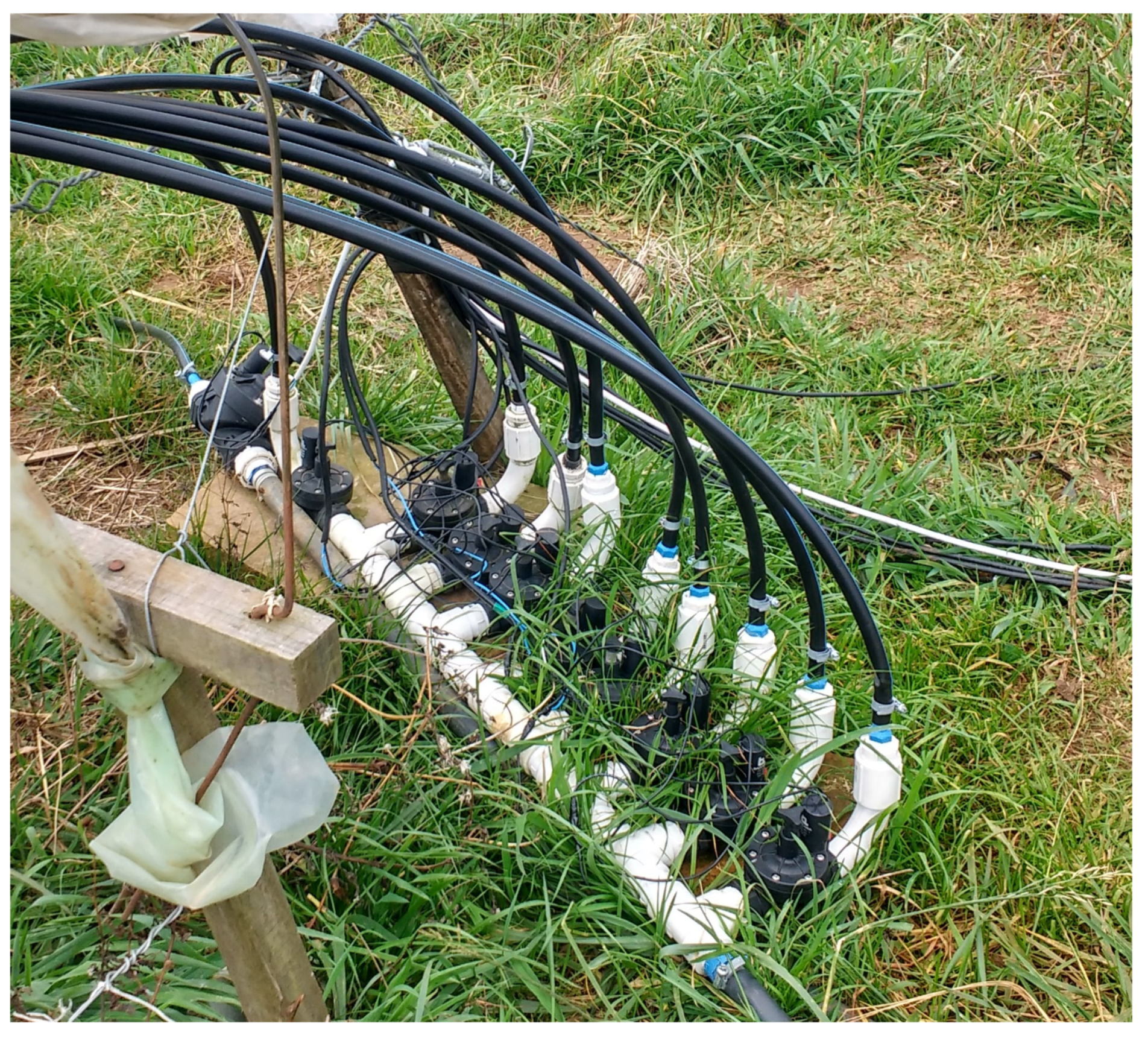 Agronomy 13 02179 g0a3