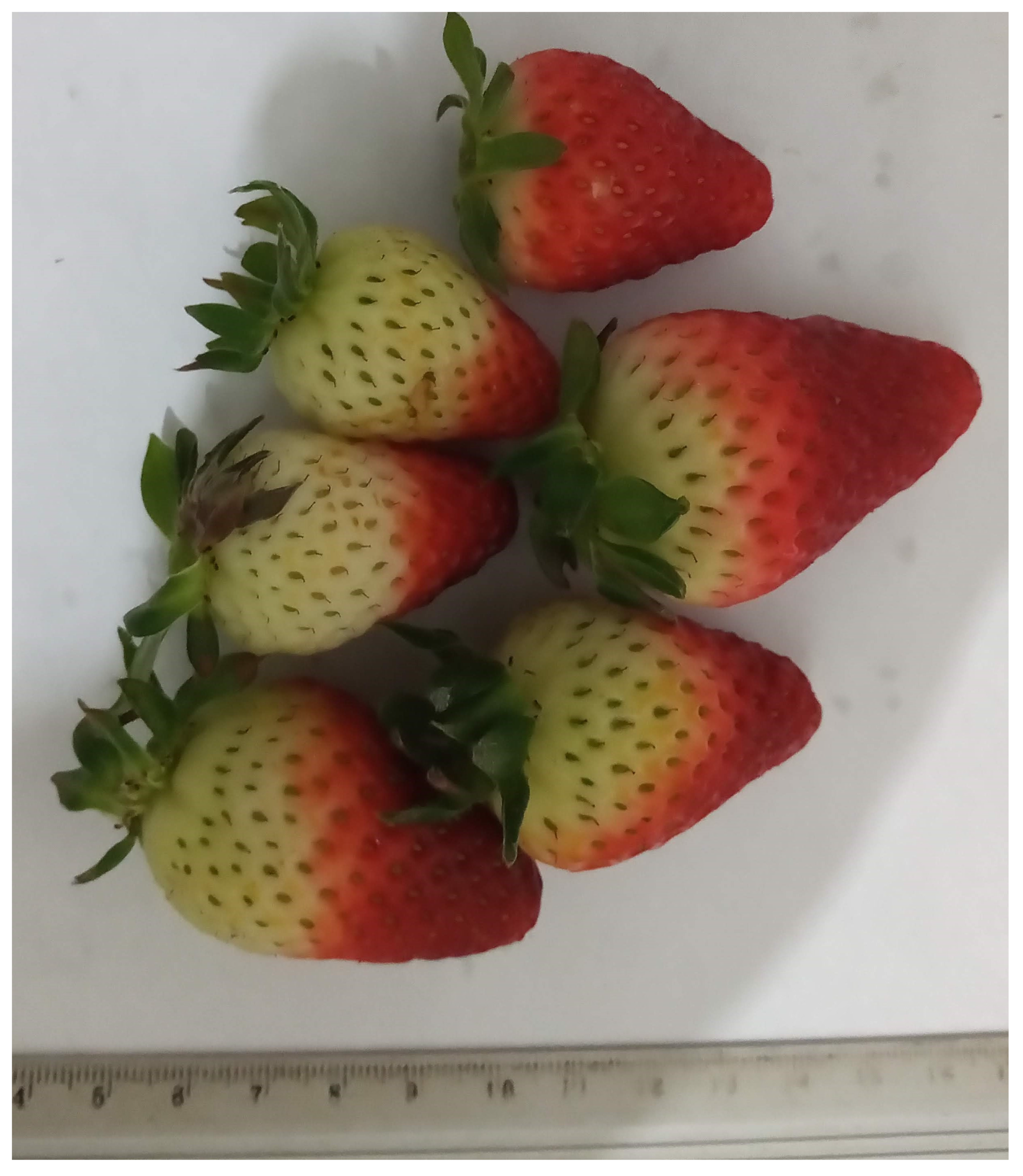 Agronomy 13 02179 g0a9