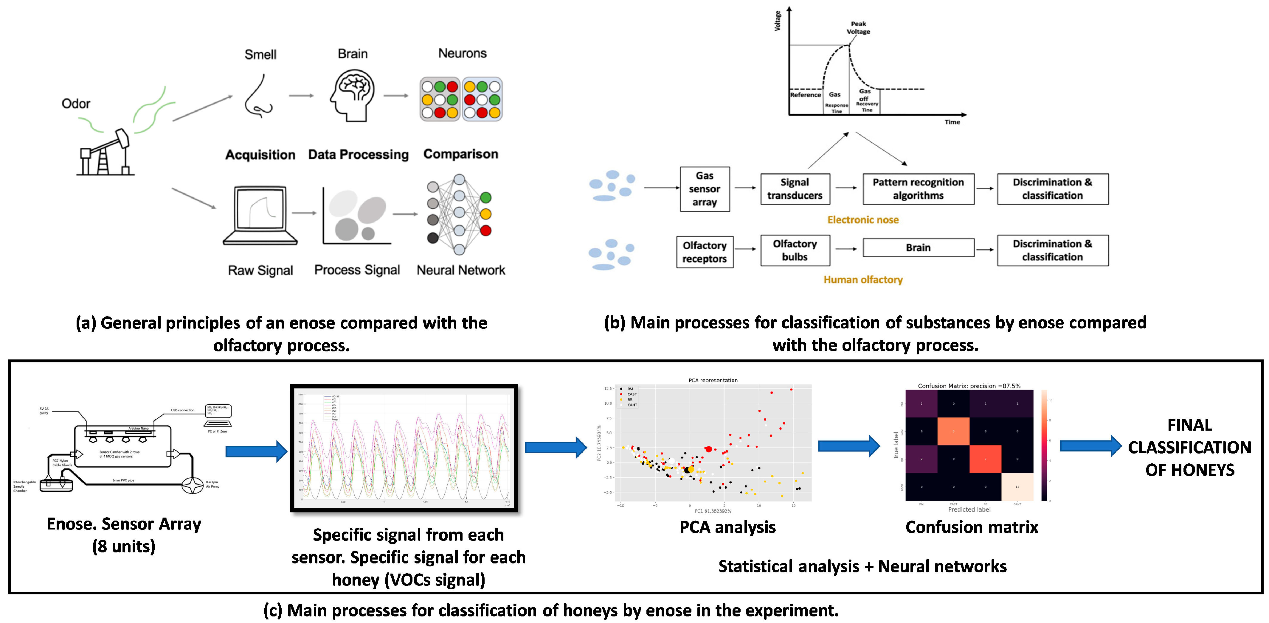 Agronomy 13 02183 g001