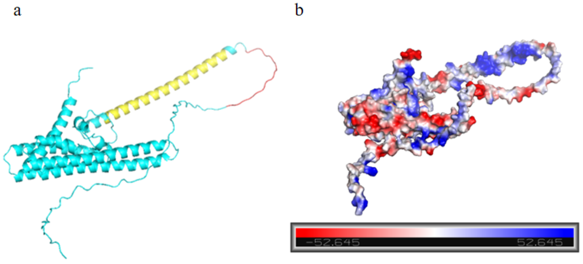 Agronomy 13 02184 g001