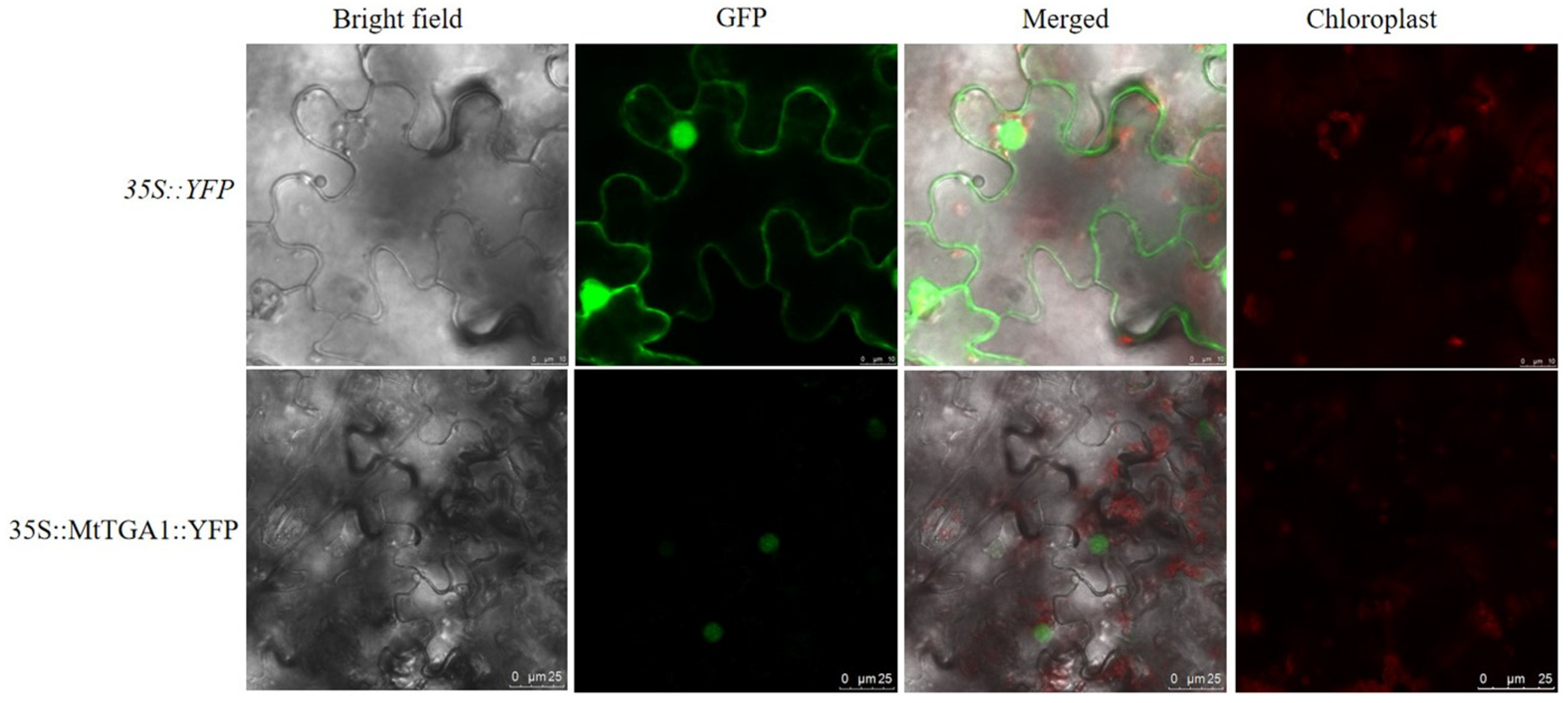 Agronomy 13 02184 g003