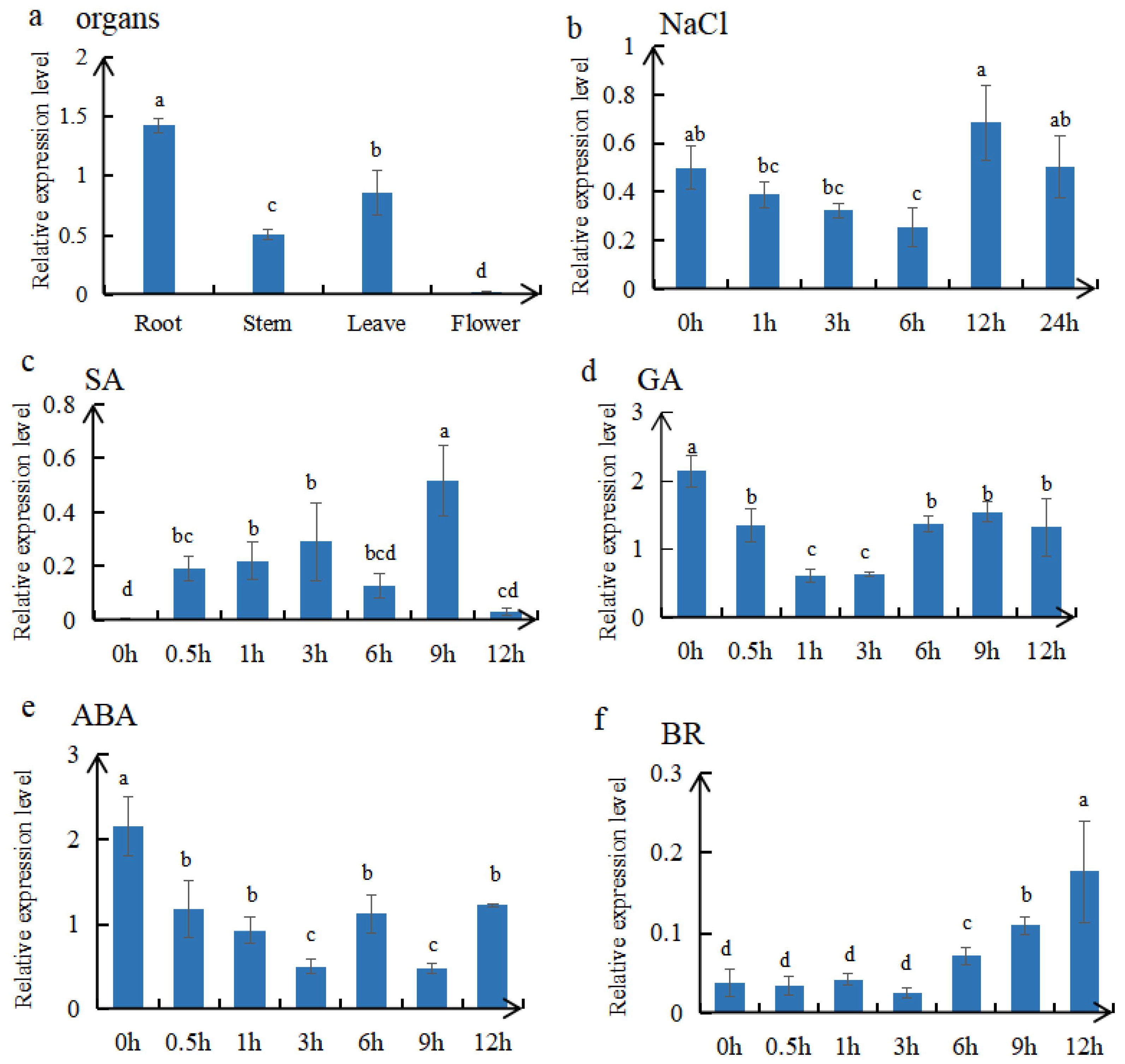 Agronomy 13 02184 g004