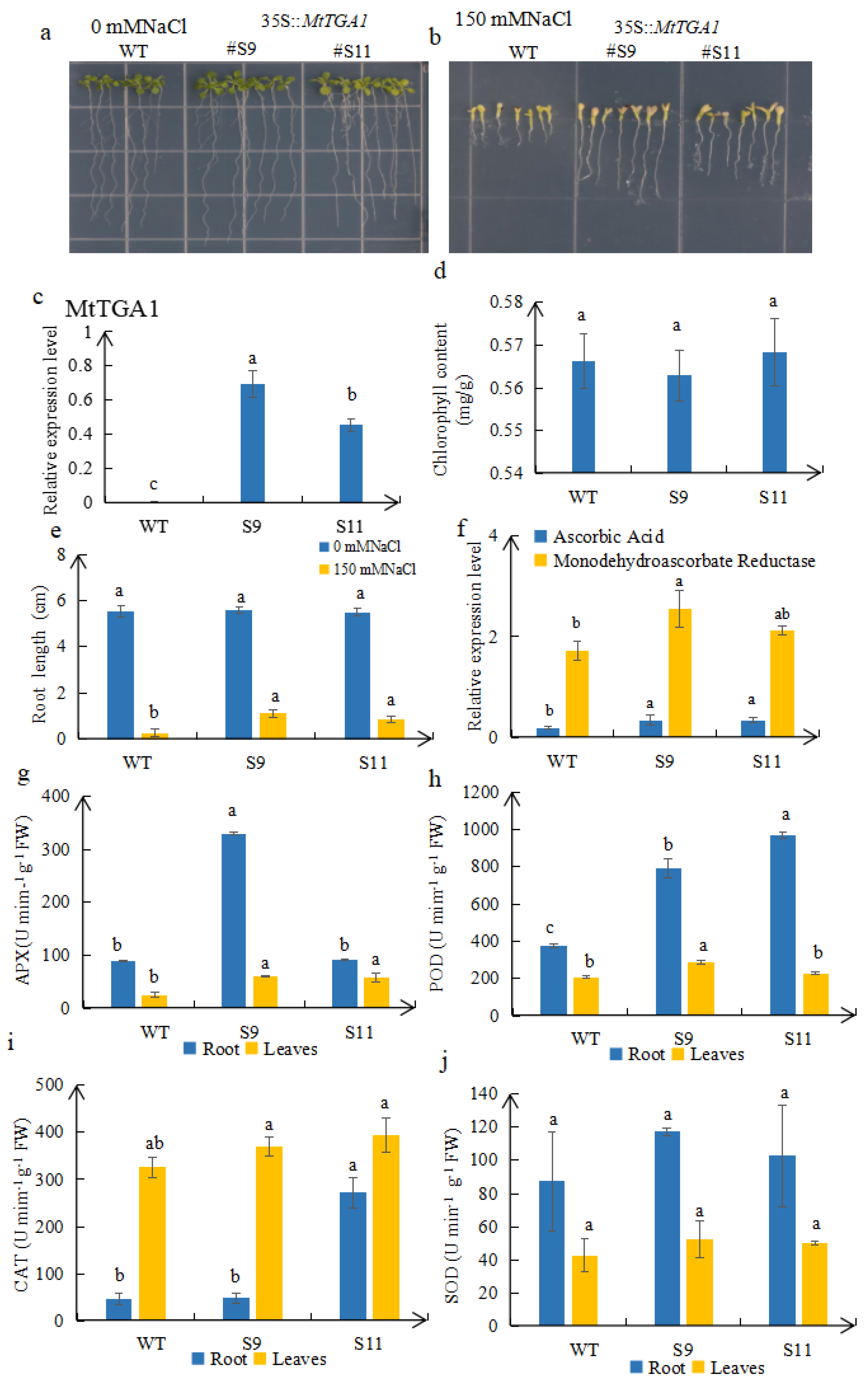 Agronomy 13 02184 g005