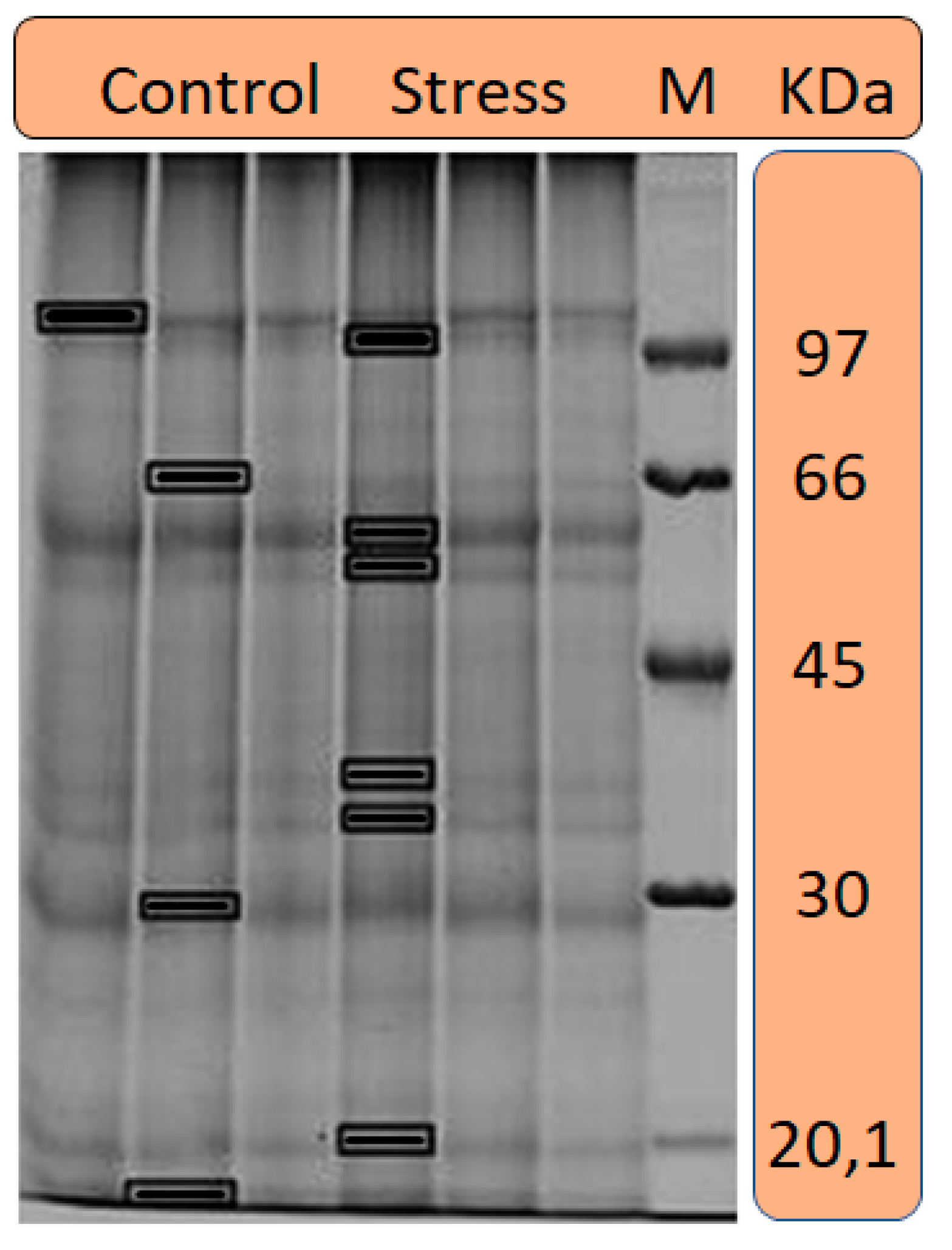 Agronomy 13 02186 g002 Agronomy 13 02186 g002