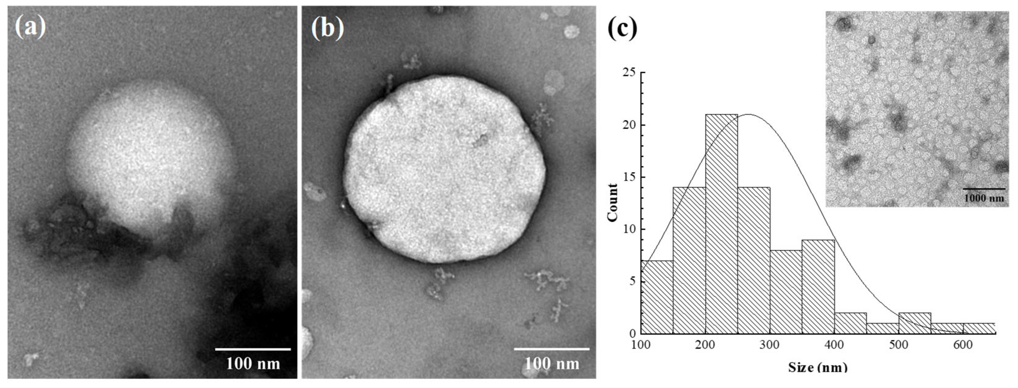 Agronomy 13 02189 g001